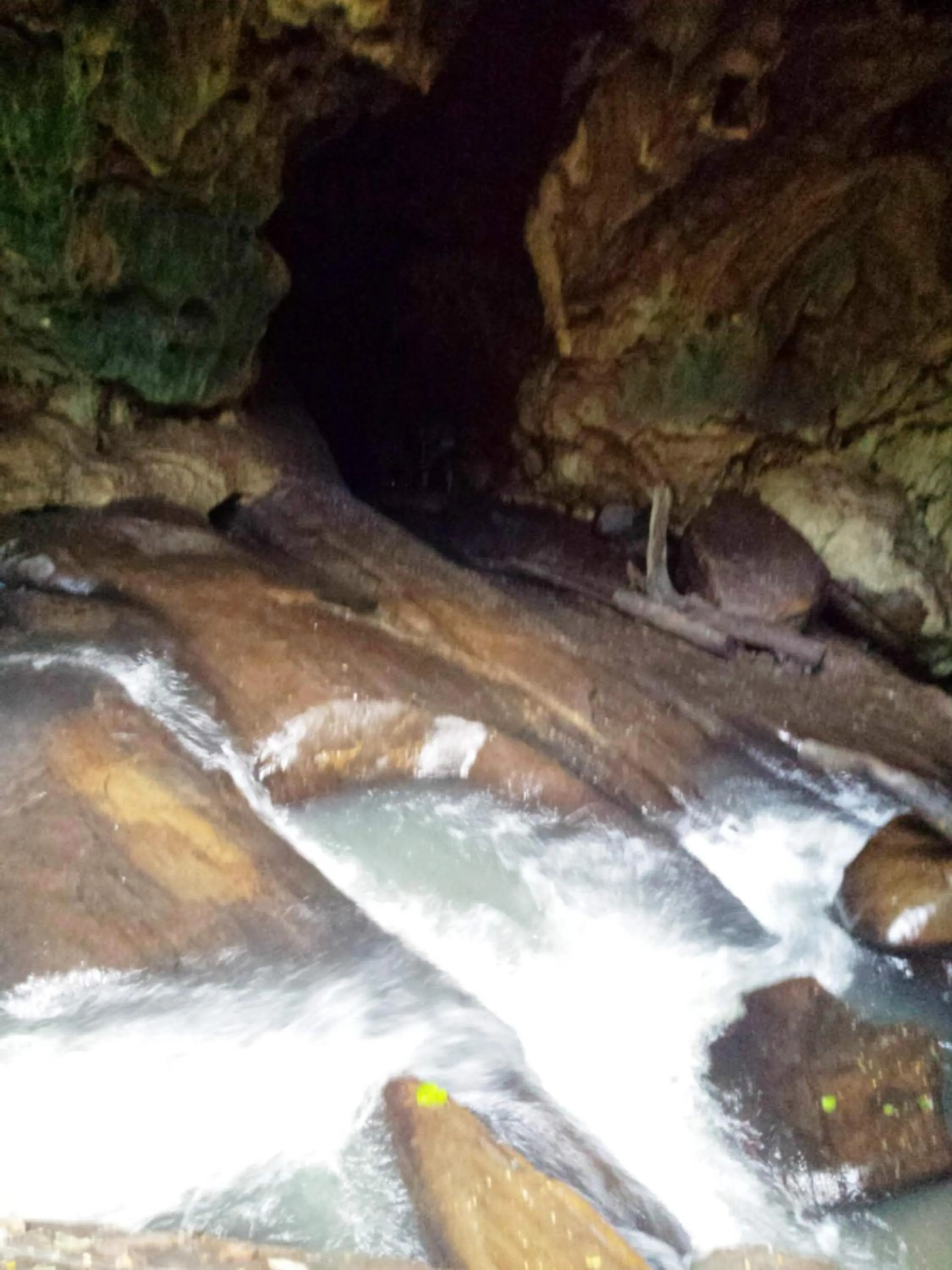 Activities in Greenwood Udawalawa Safari Resort