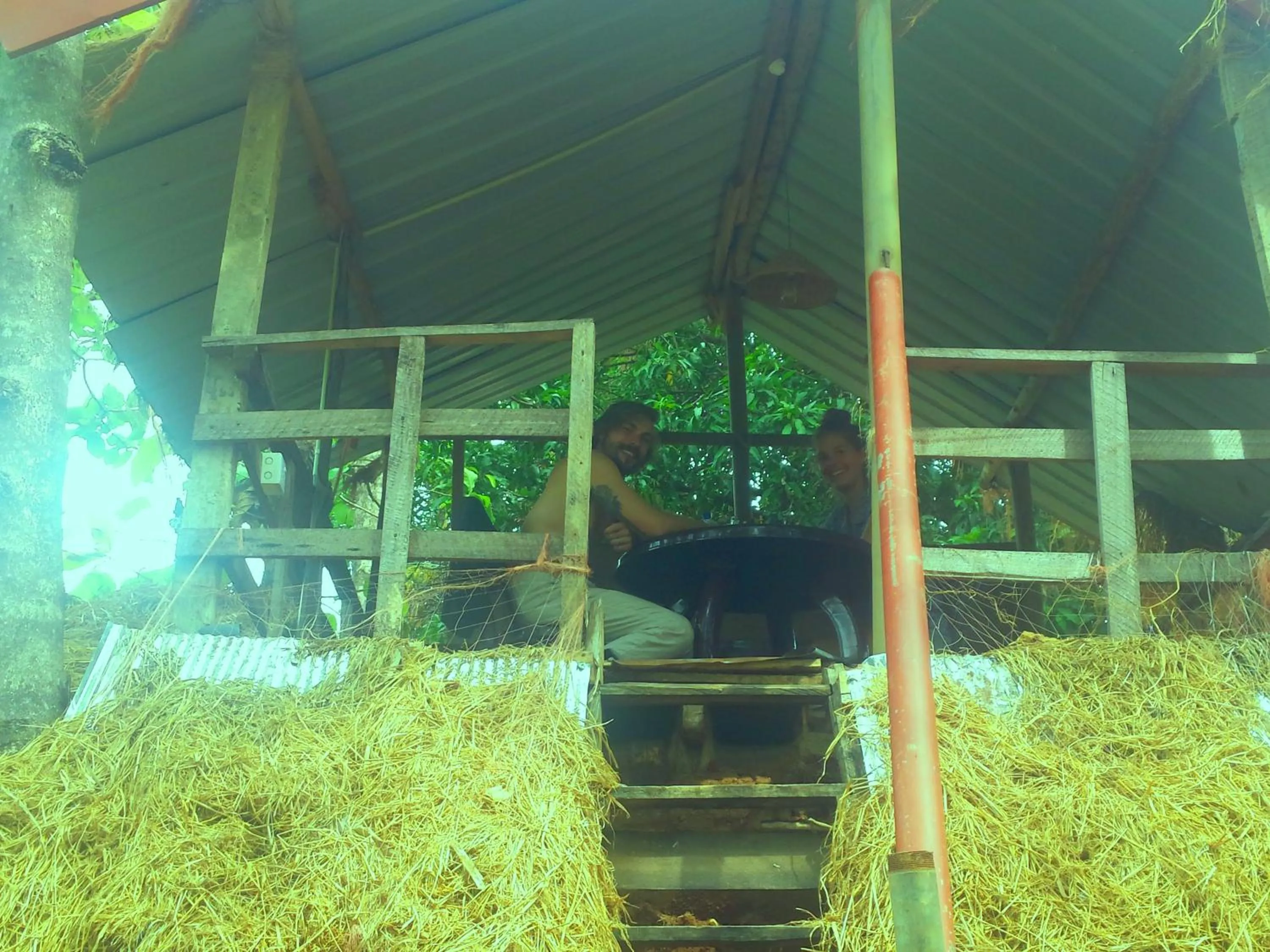Balcony/Terrace in Greenwood Udawalawa Safari Resort