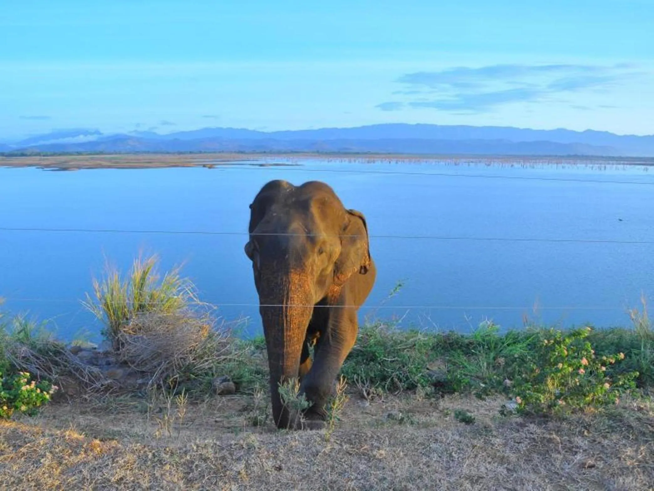 Activities in Greenwood Udawalawa Safari Resort
