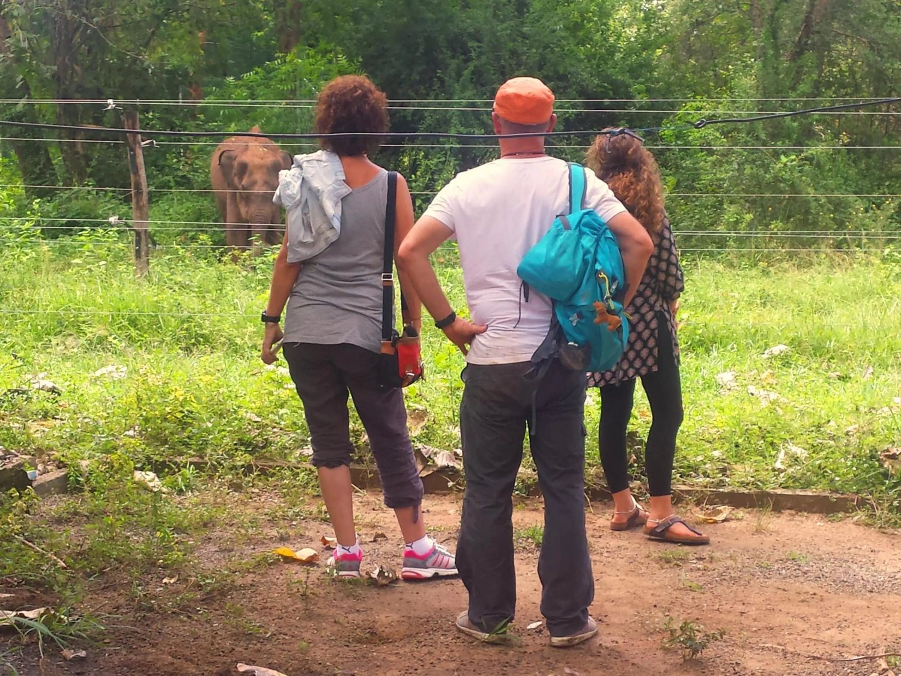 Restaurant/places to eat in Greenwood Udawalawa Safari Resort