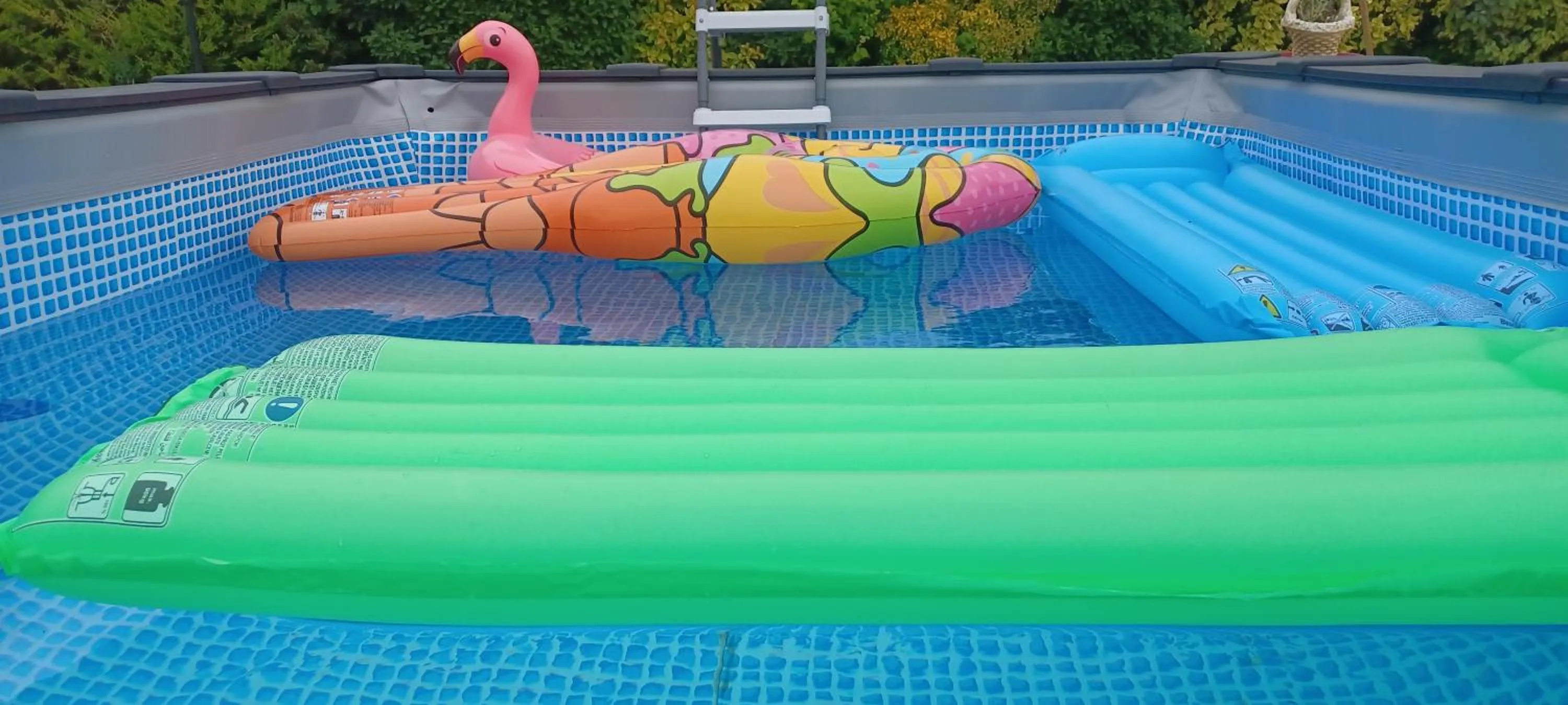 Pool view in Chambre d'Hôtes Les Orchidées FUTUROSCOPE CHASSENEUIL POITIERS