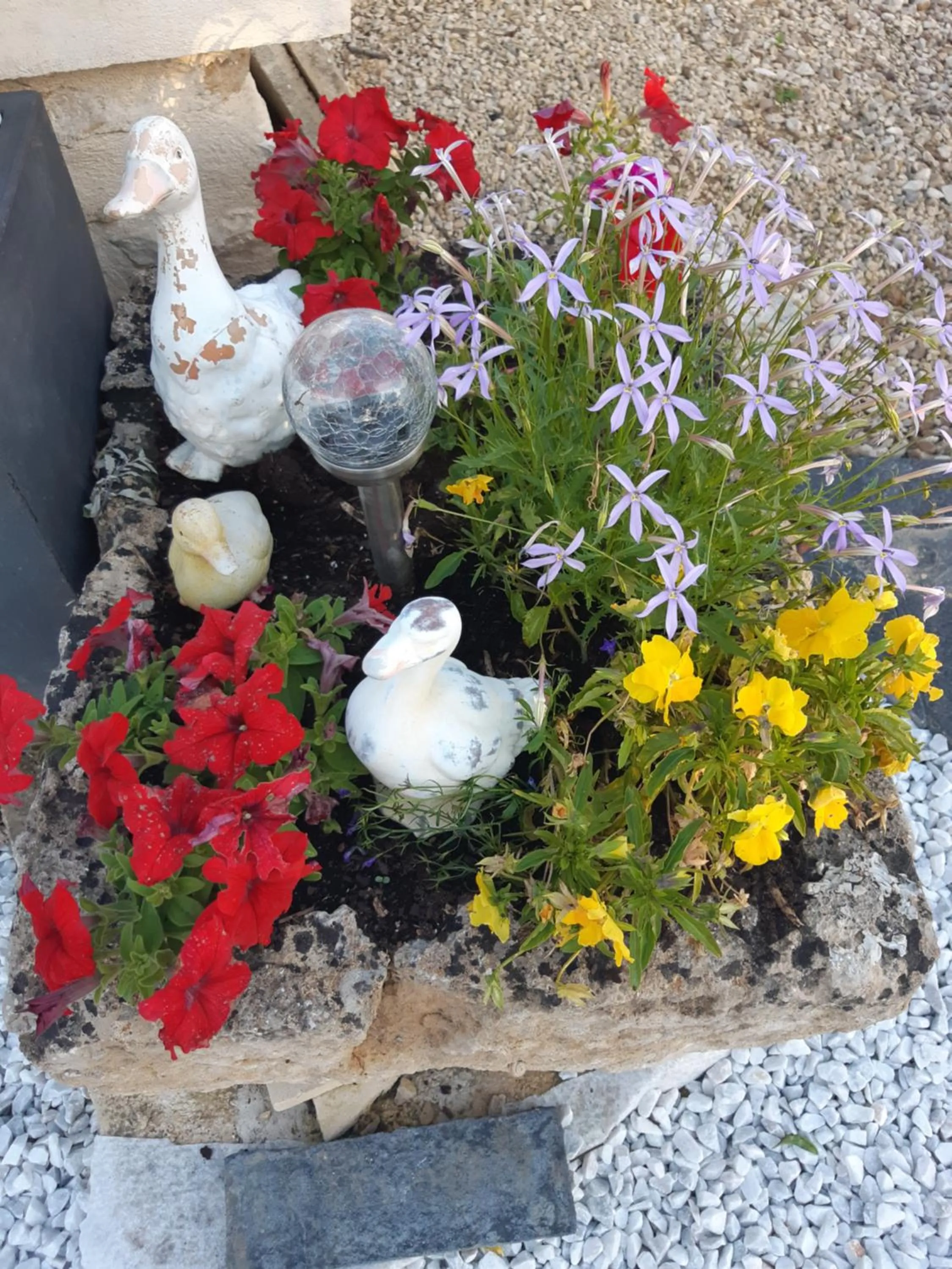 Garden in Chambre d'Hôtes Les Orchidées FUTUROSCOPE CHASSENEUIL POITIERS