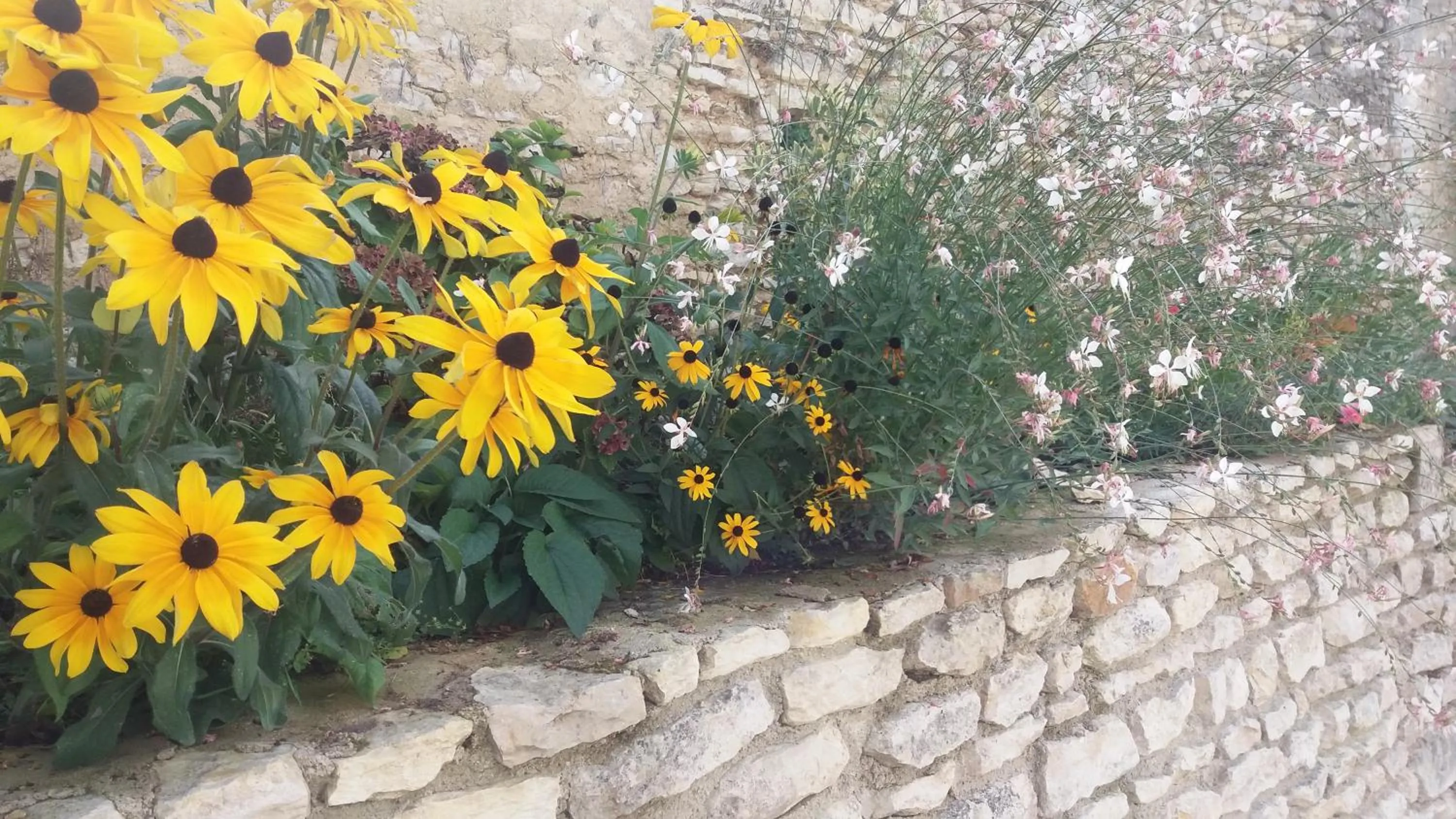 Garden in Chambre d'Hôtes Les Orchidées FUTUROSCOPE CHASSENEUIL POITIERS