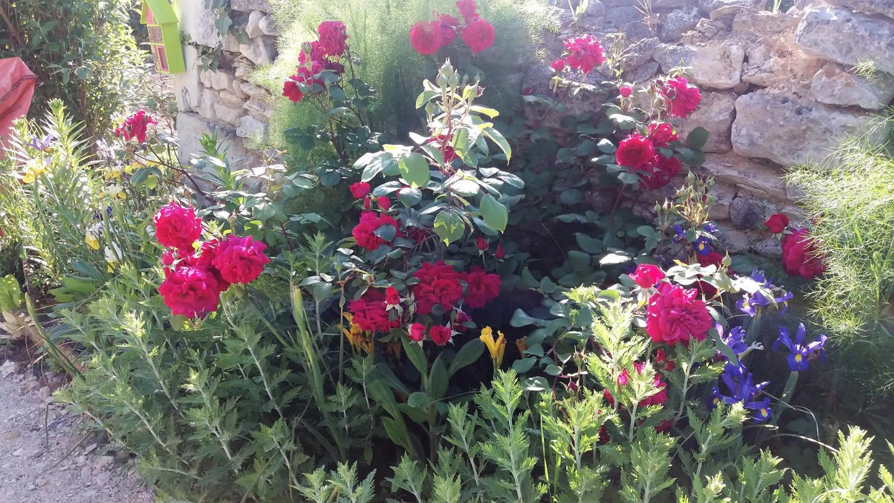 Garden in Chambre d'Hôtes Les Orchidées FUTUROSCOPE CHASSENEUIL POITIERS