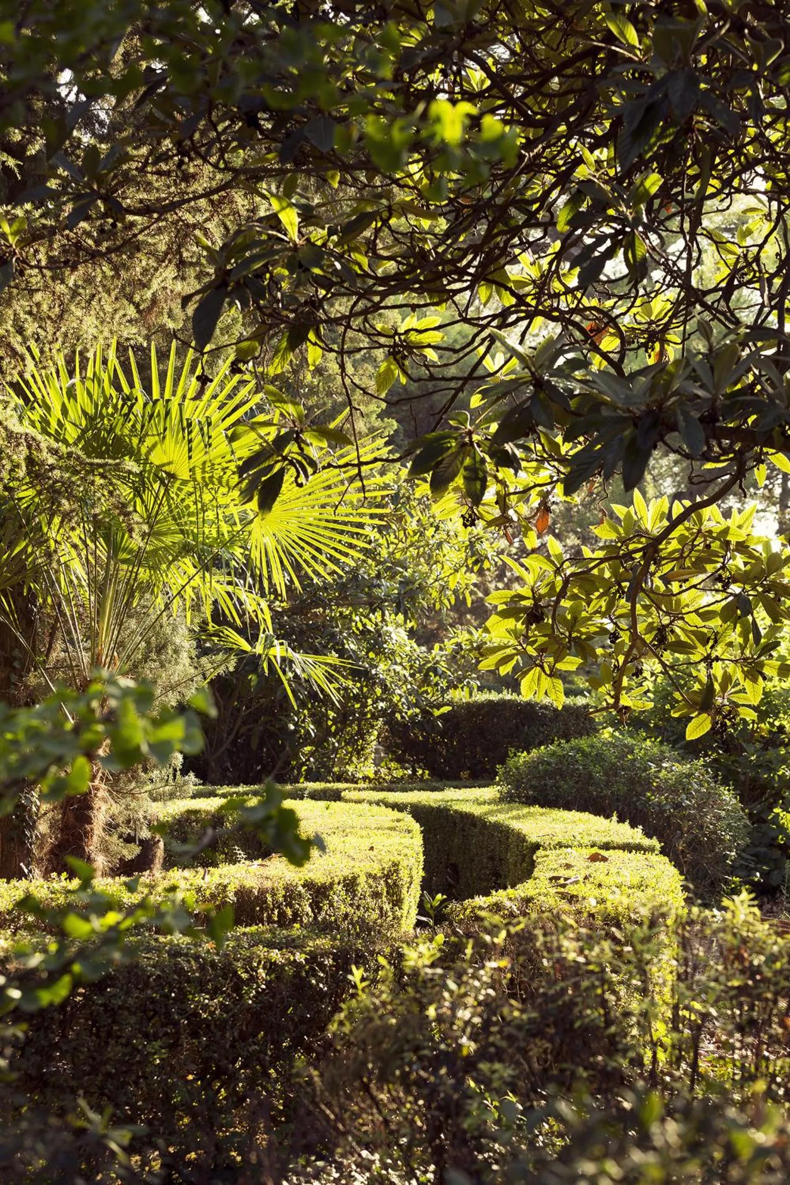 Garden in Mas de Lafeuillade