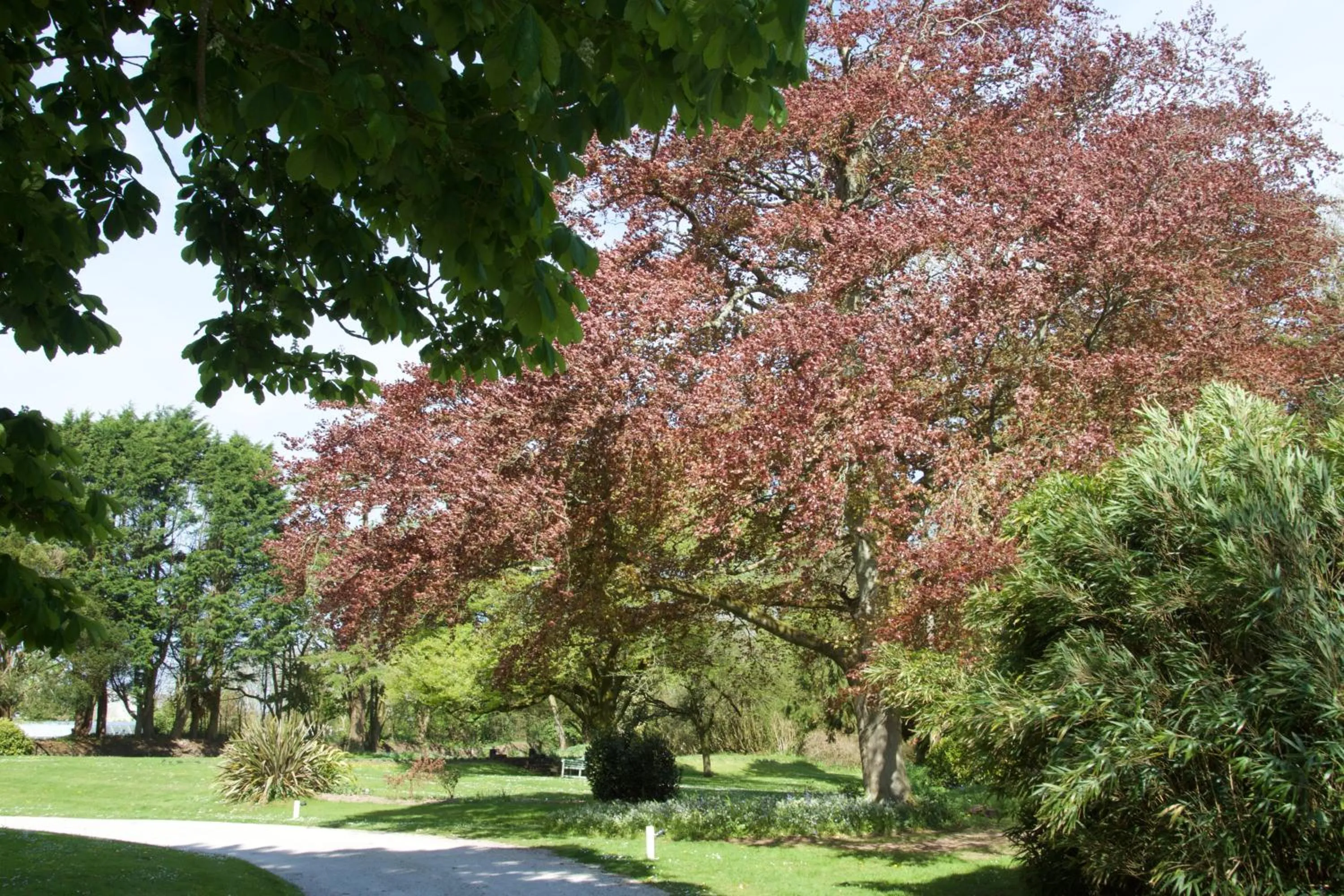Garden in Trewornan Manor