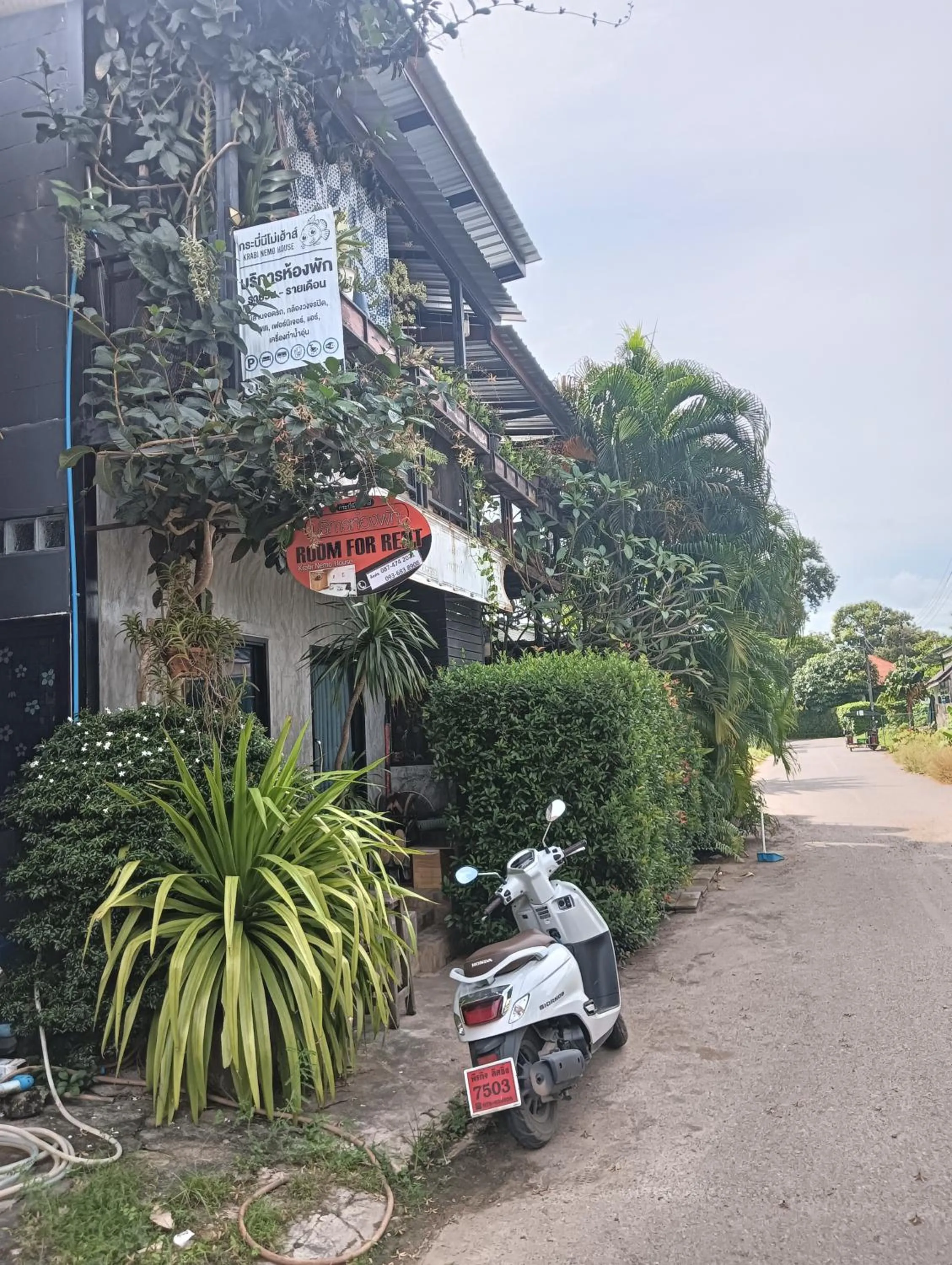 Krabi Nemo House