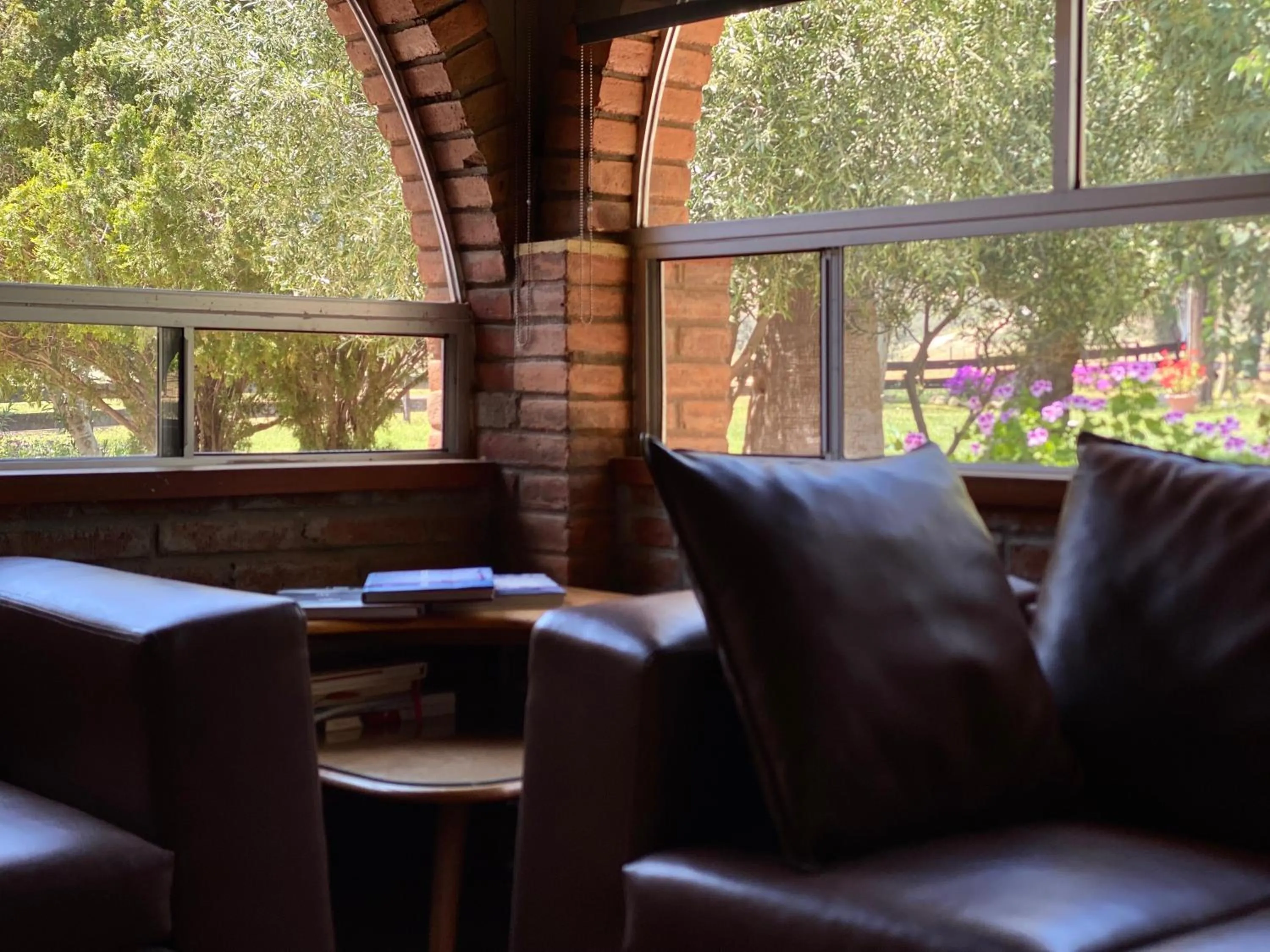 Day in Rancho Toros Pintos