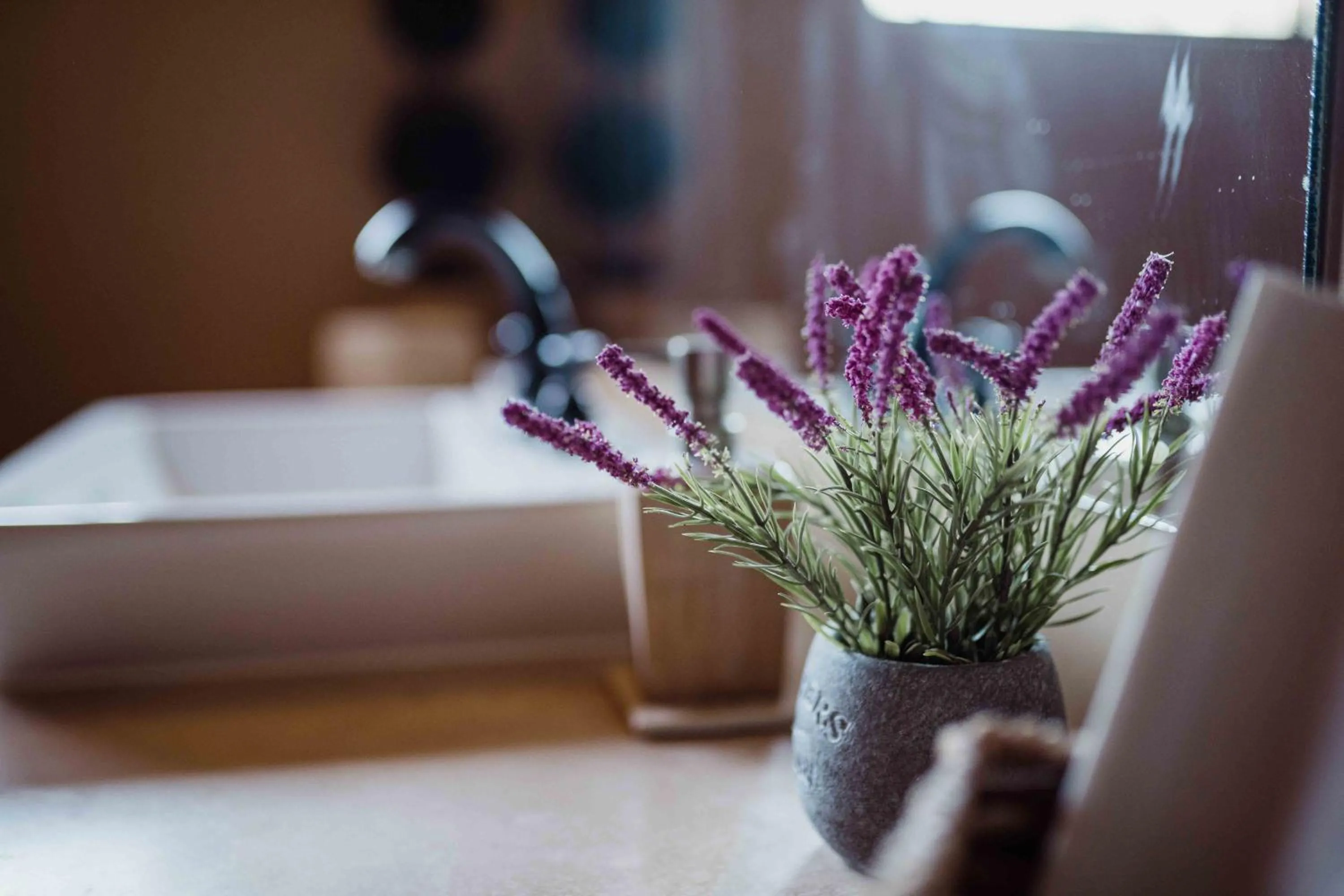 Bathroom in Rancho Toros Pintos