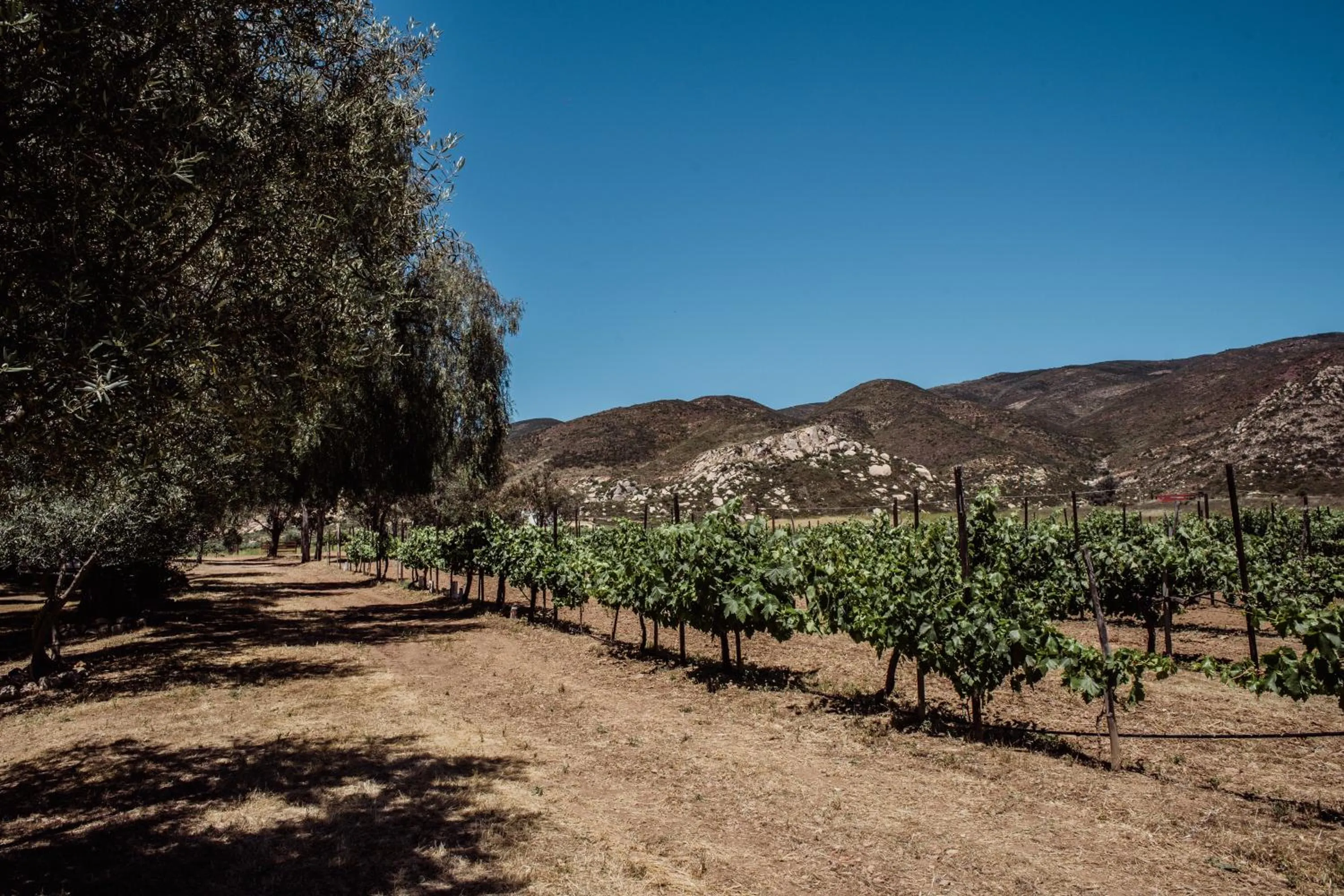 Natural landscape in Rancho Toros Pintos
