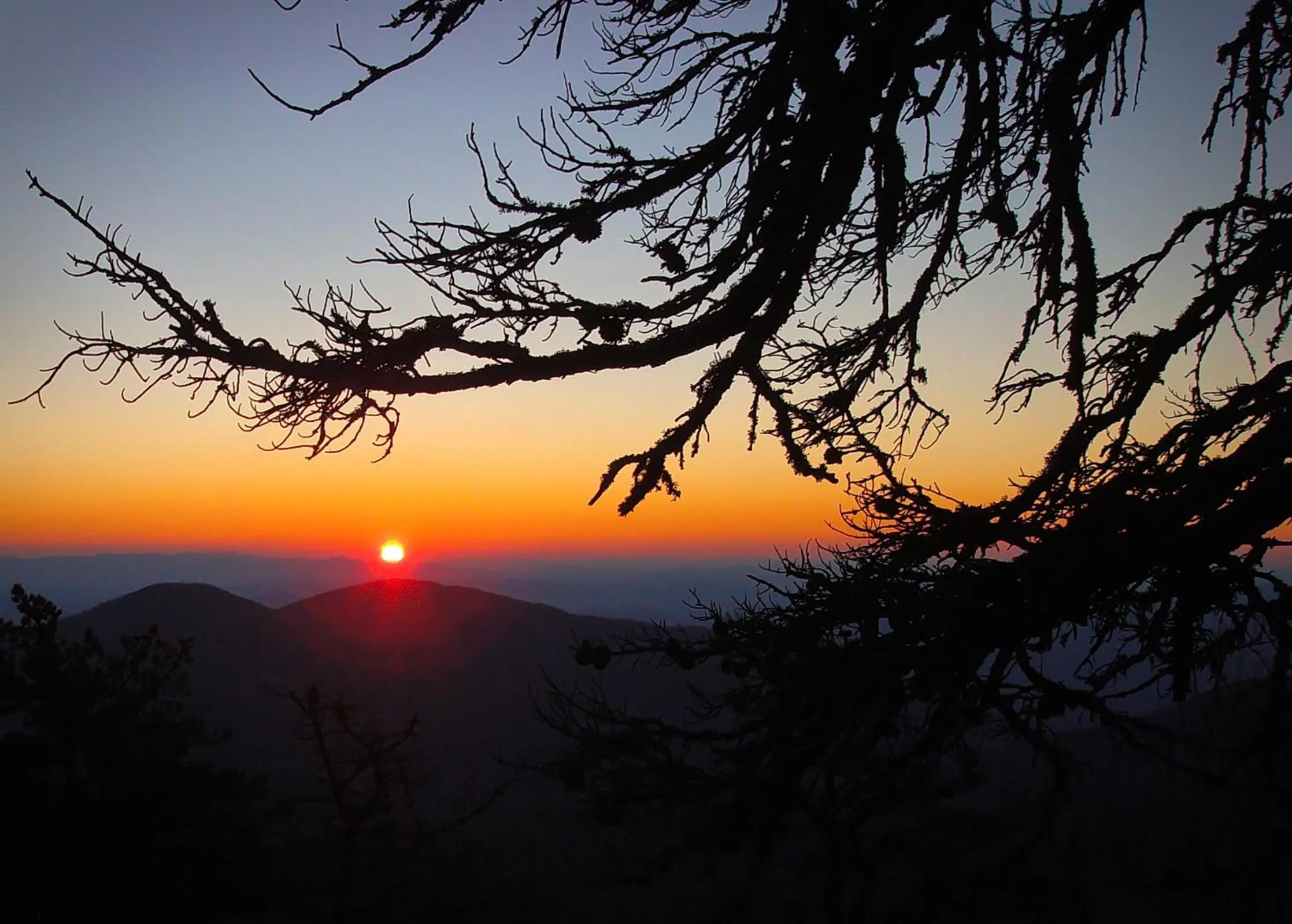 Nearby landmark in Mt Mitchell Cabin Rentals