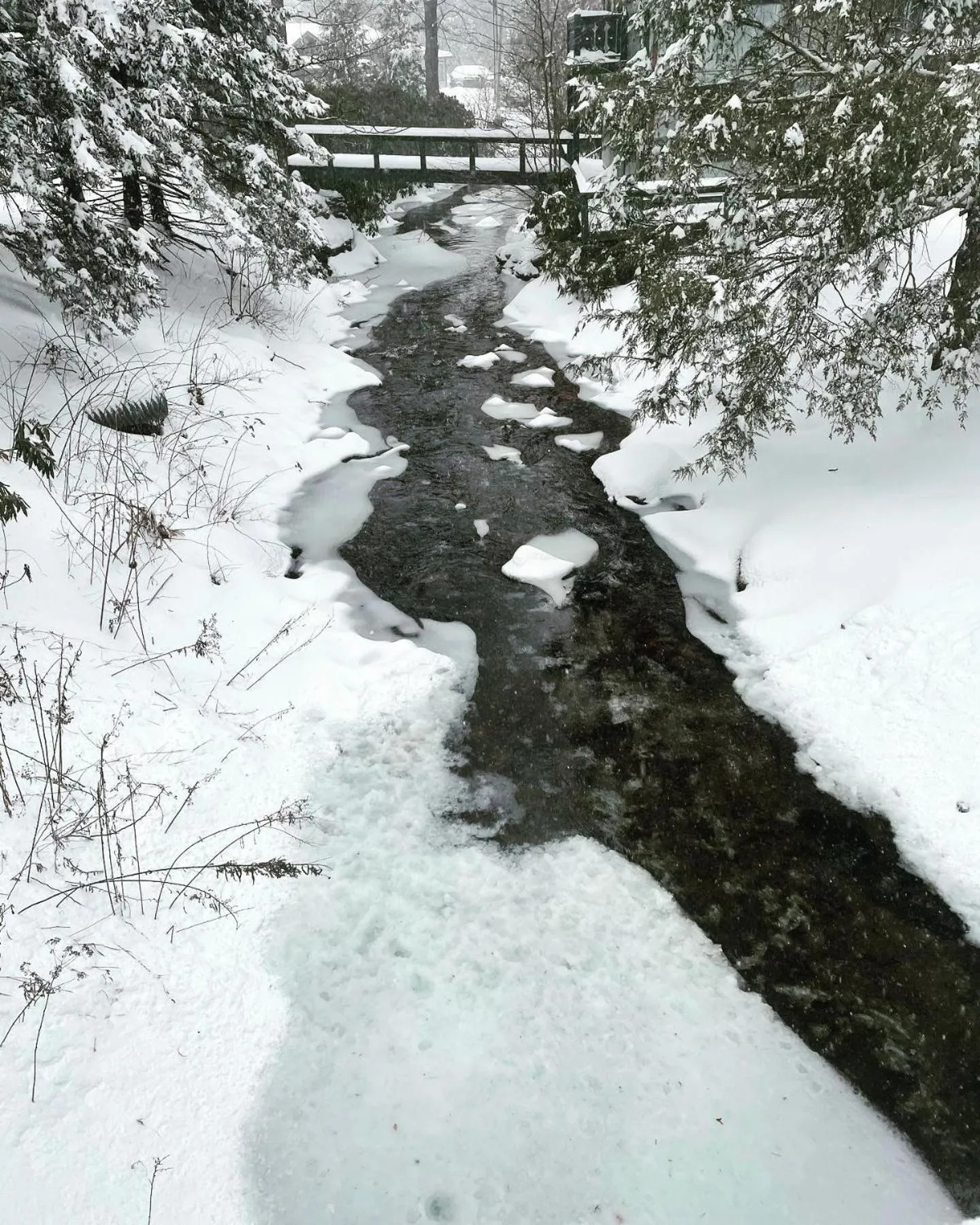 Nearby landmark in Mt Mitchell Cabin Rentals