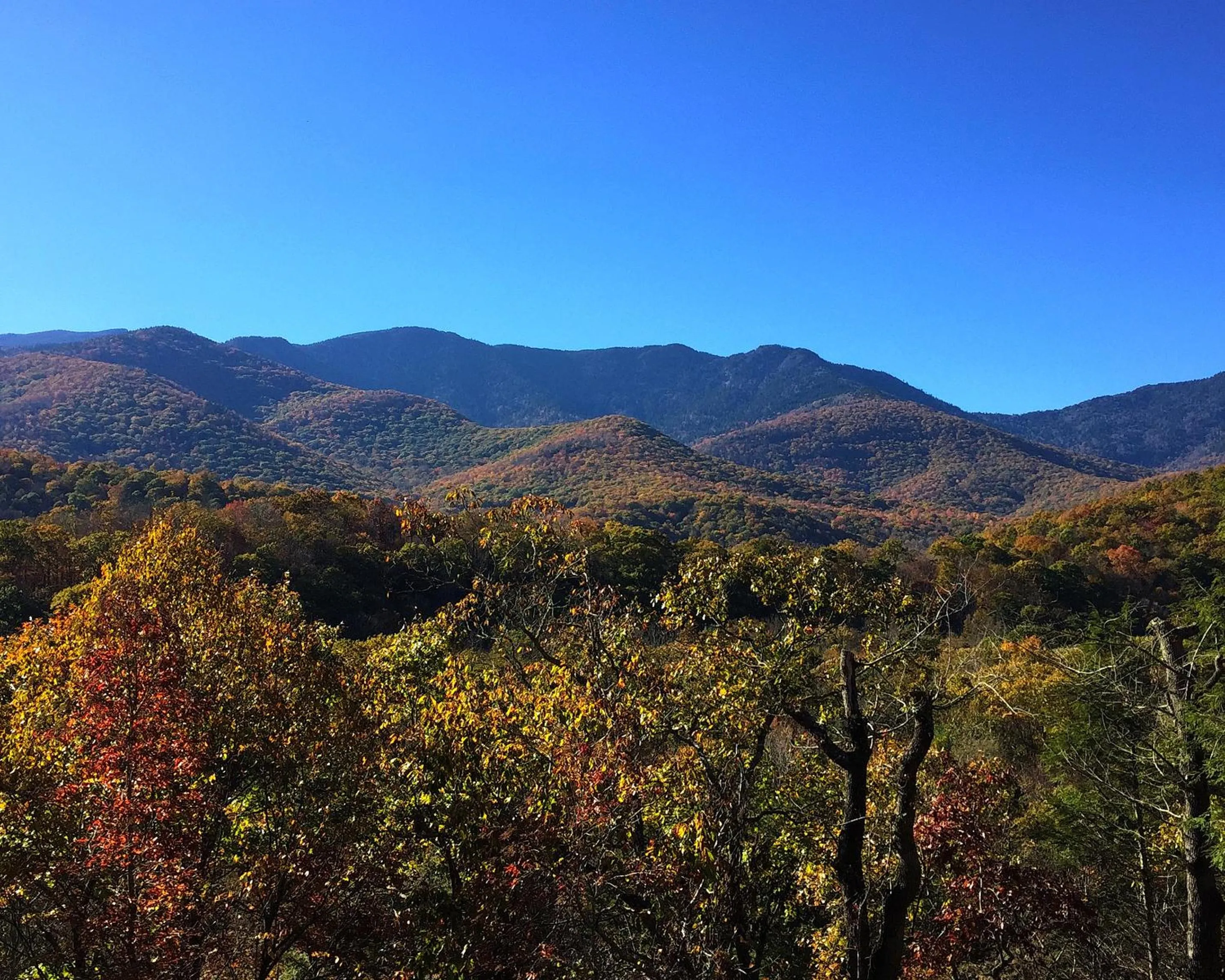 Nearby landmark in Mt Mitchell Cabin Rentals