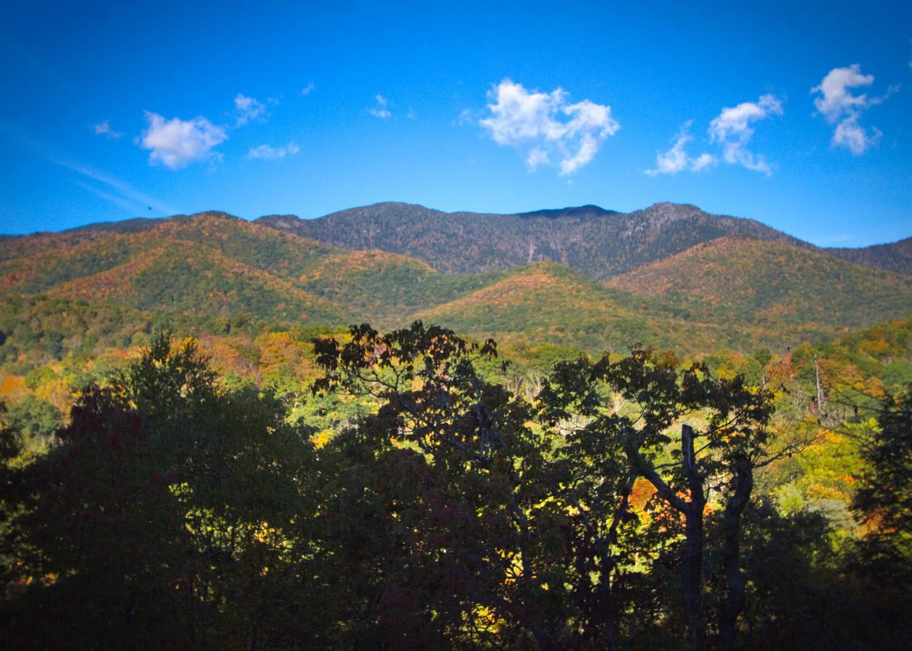 Mountain view in Mt Mitchell Cabin Rentals