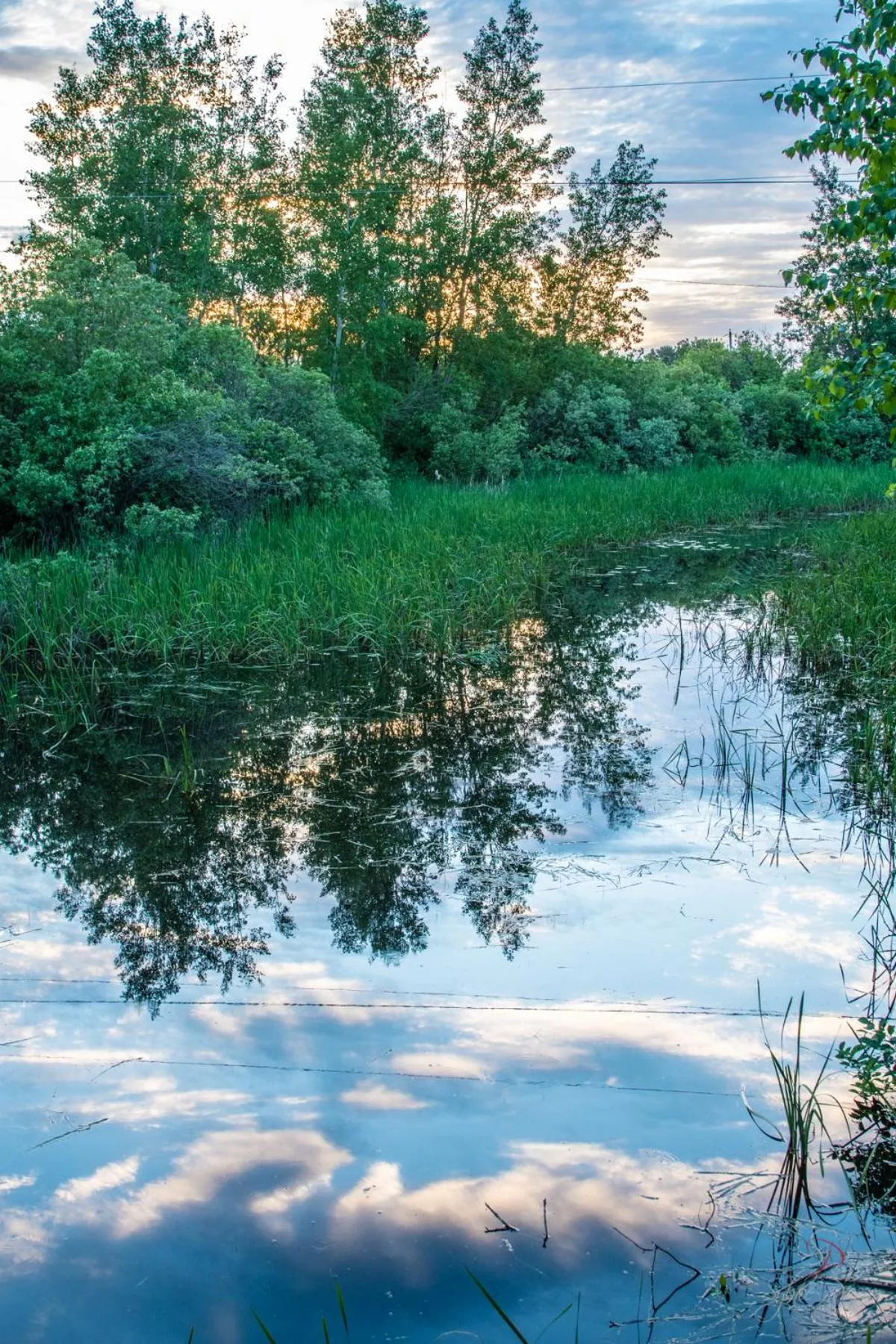 Garden in Domaine sur une plage