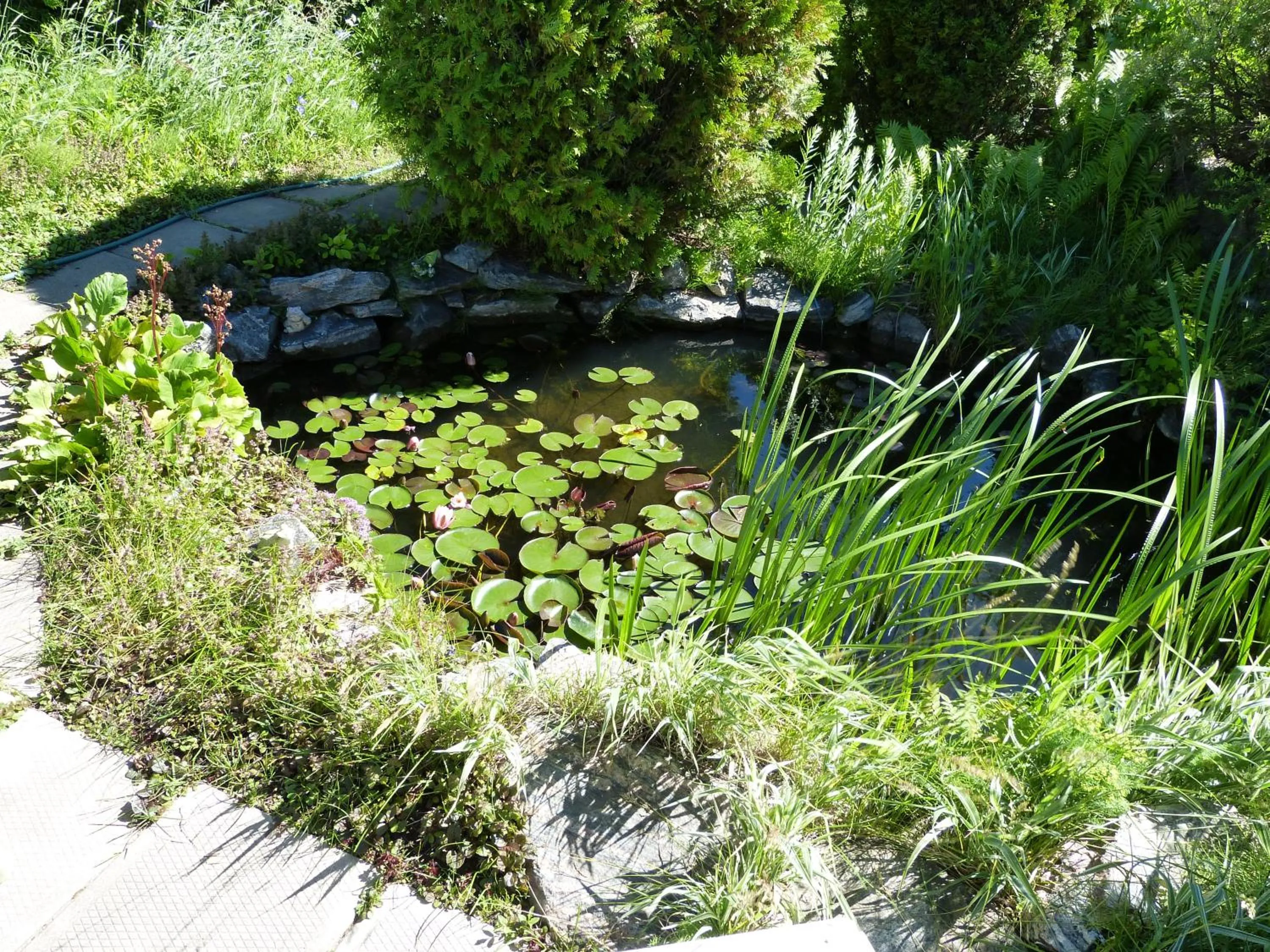 Garden in Domaine sur une plage