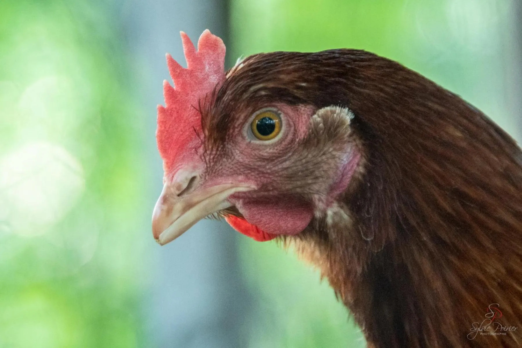 Domaine sur une plage