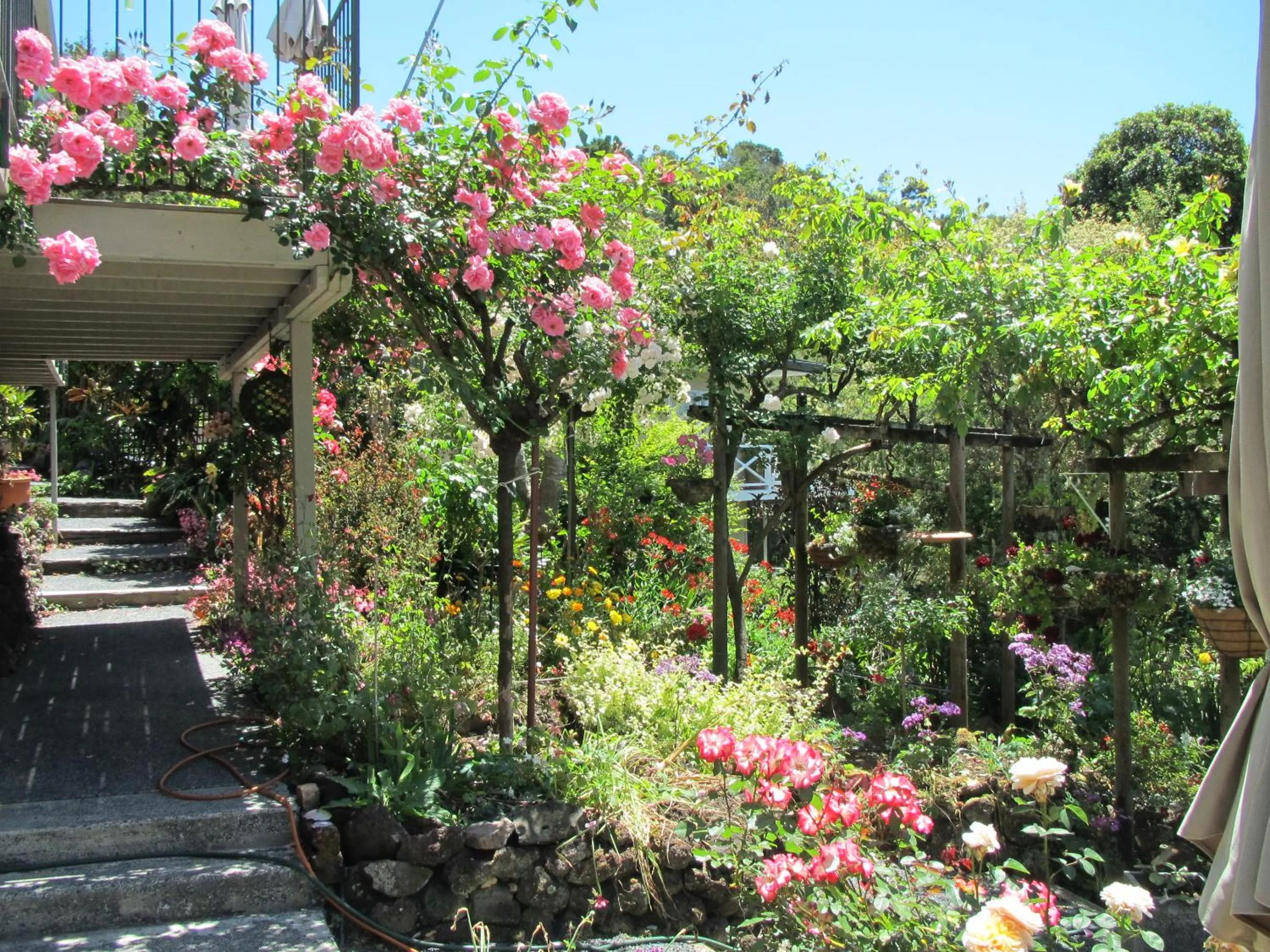 Day in Craicor Boutique Apartments