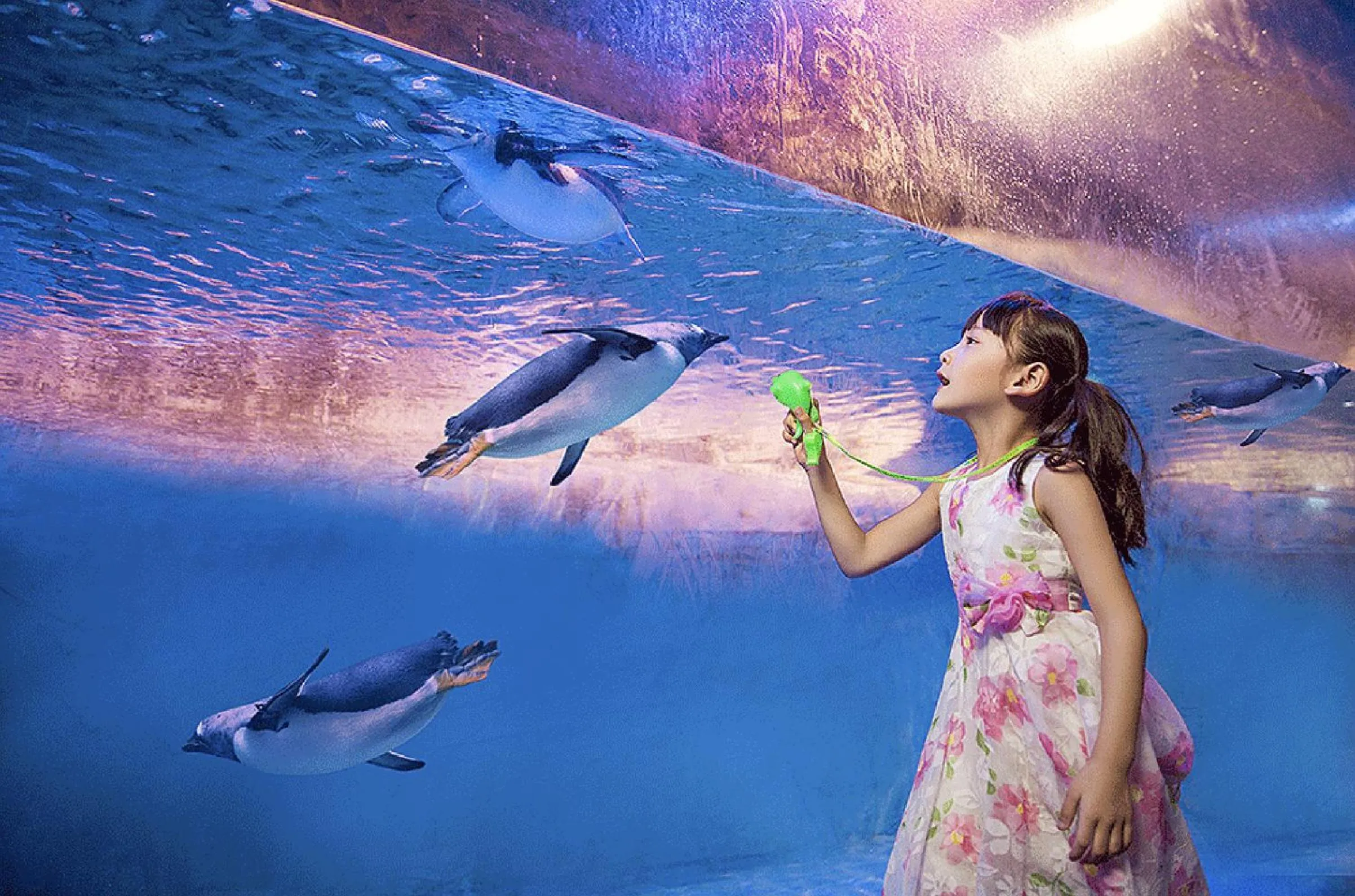 Other in Vignette Collection Palm Springs Hotel Chengdu by IHG