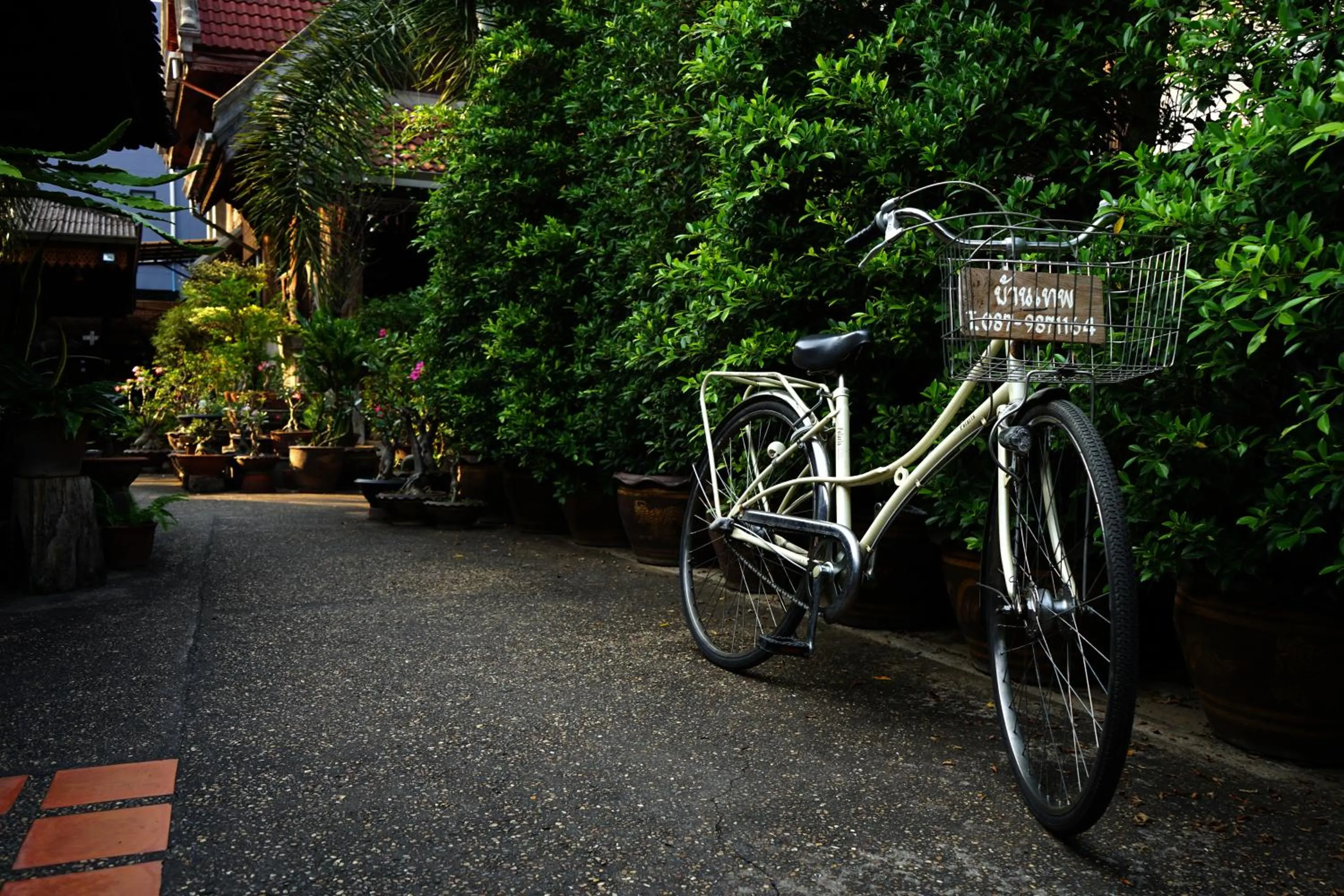 Day in Baanthep Antique Homestay