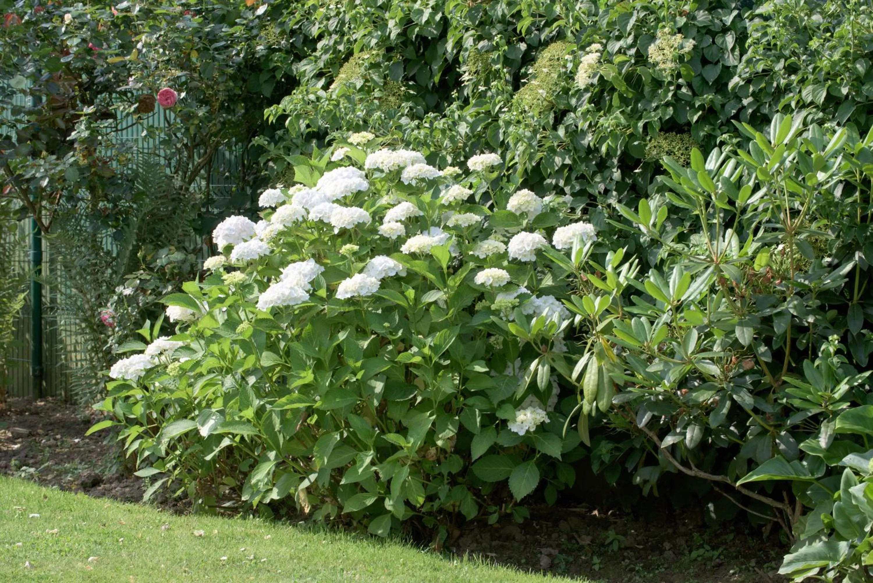 La Rosière de Marcq