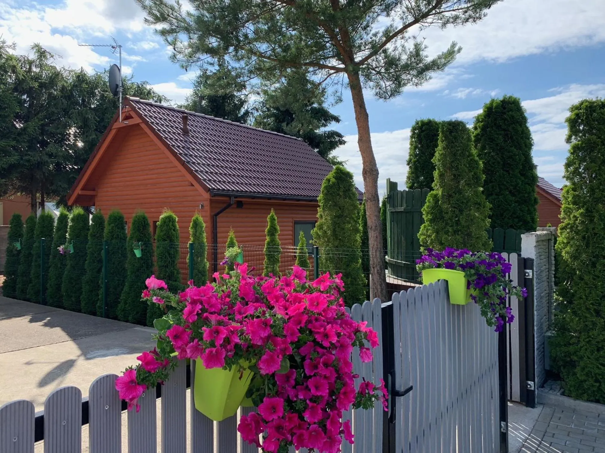 Windsurfing in Domki Wczasowe Papaya
