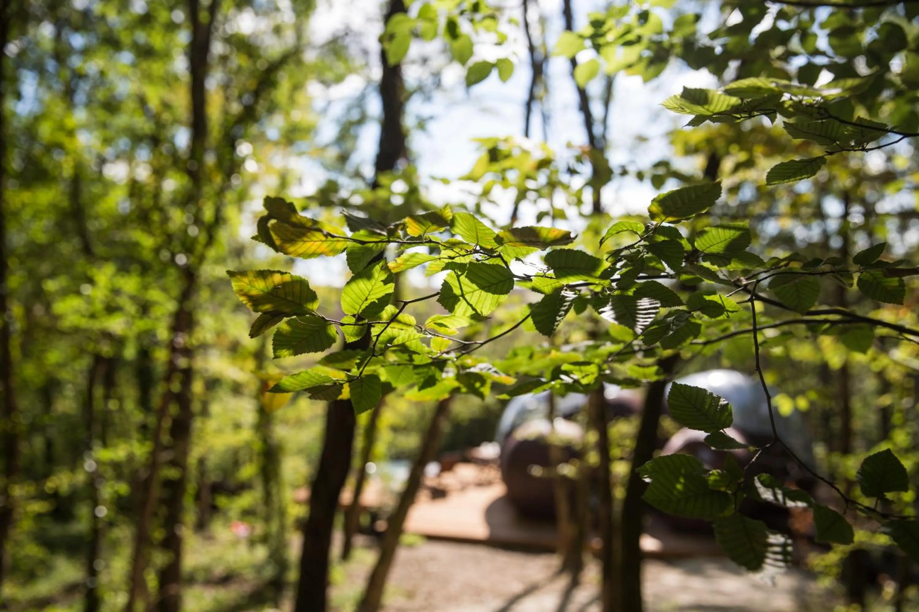 Balcony/Terrace in Chrysalide Saint Martin