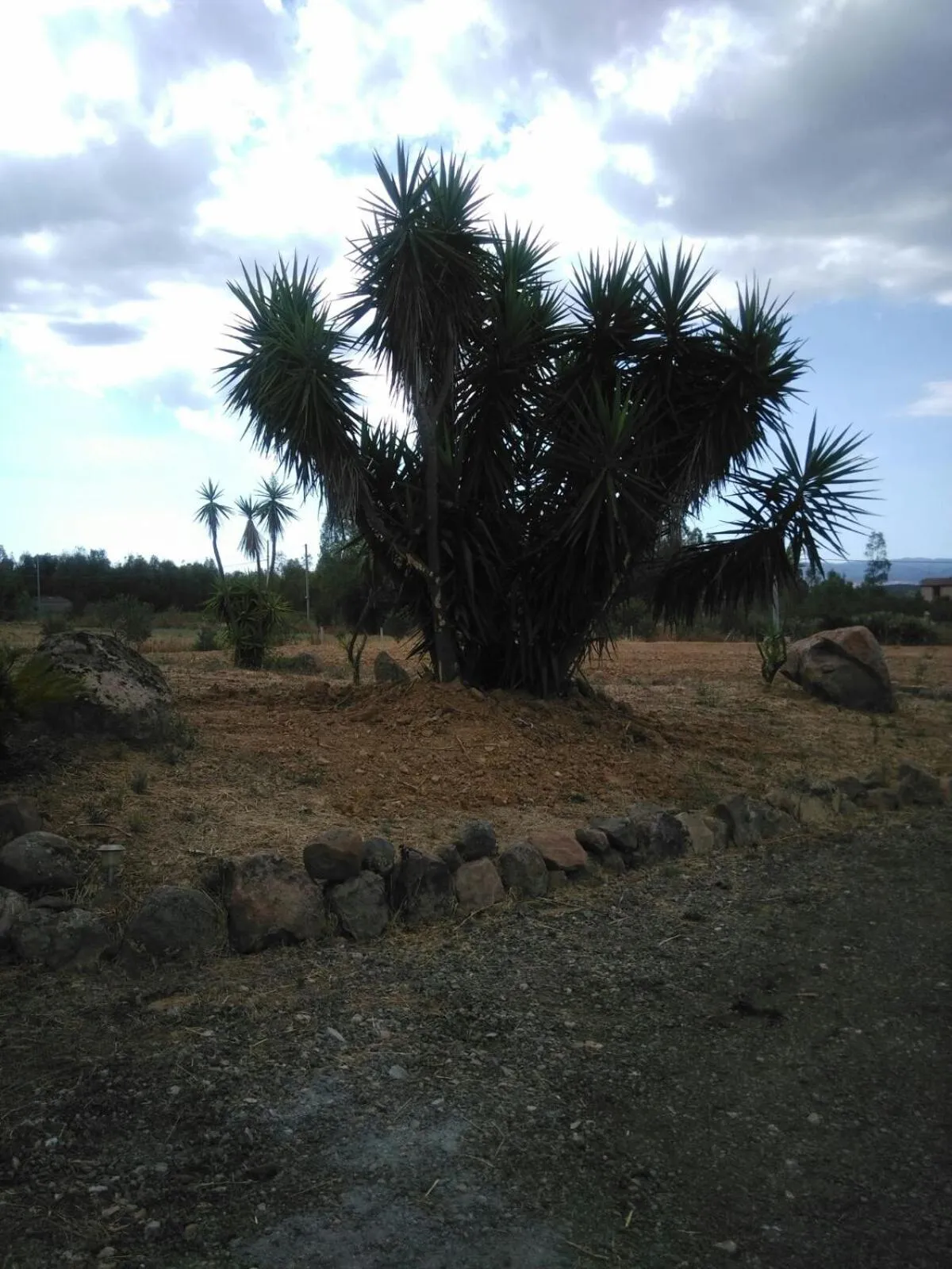Floor plan in B&B Pan di Zucchero