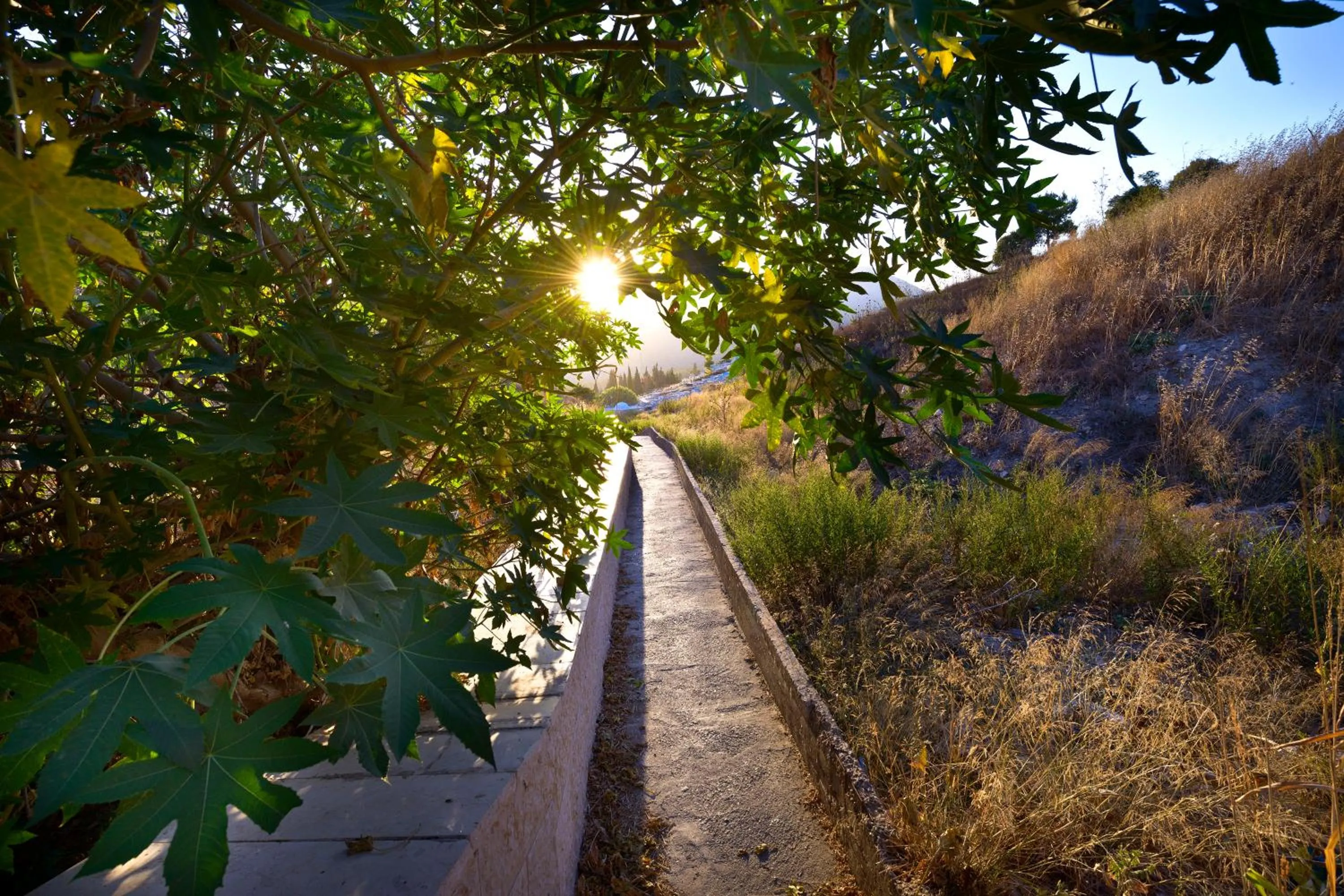 Natural landscape in EretZefat