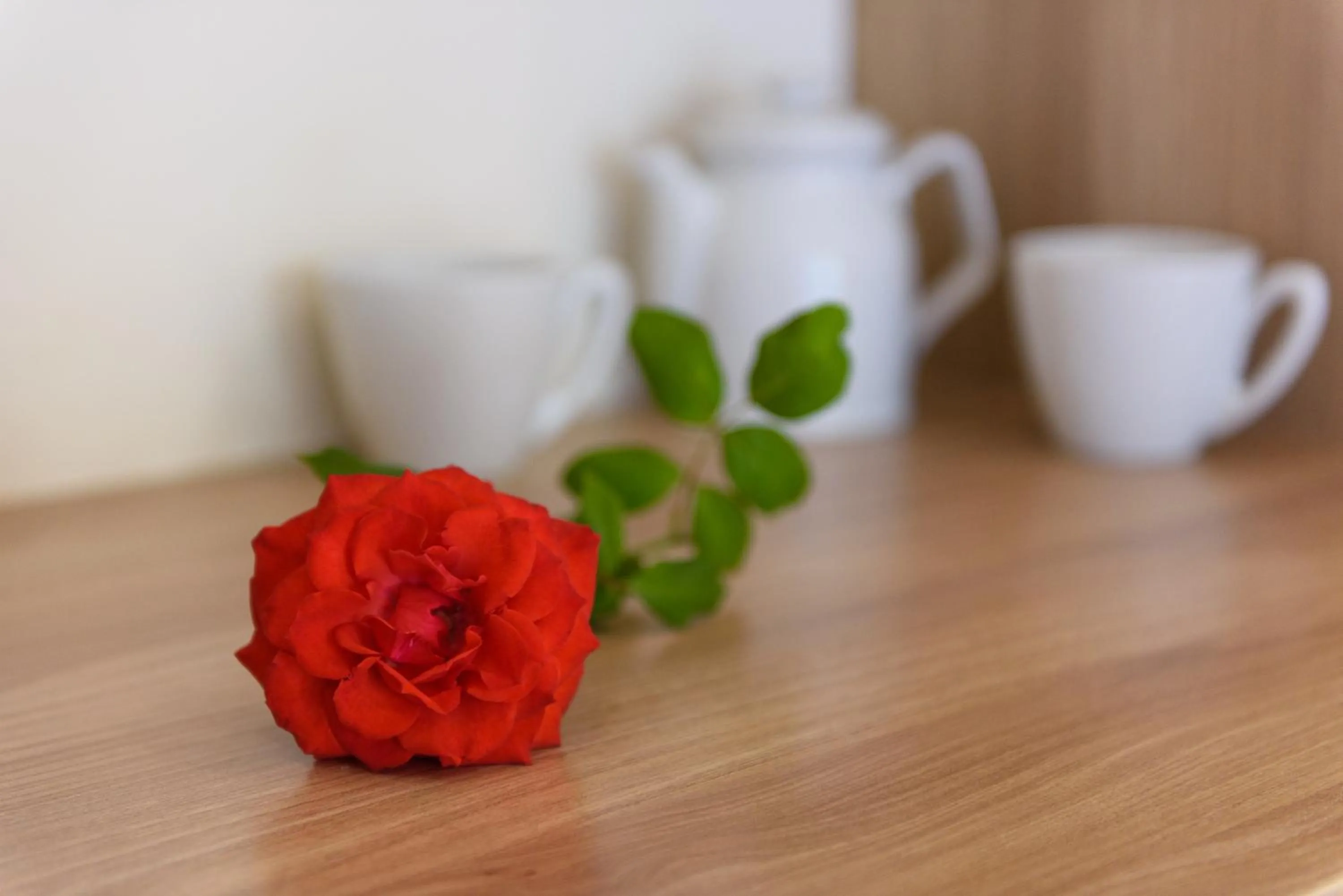 Other in Olympion Village