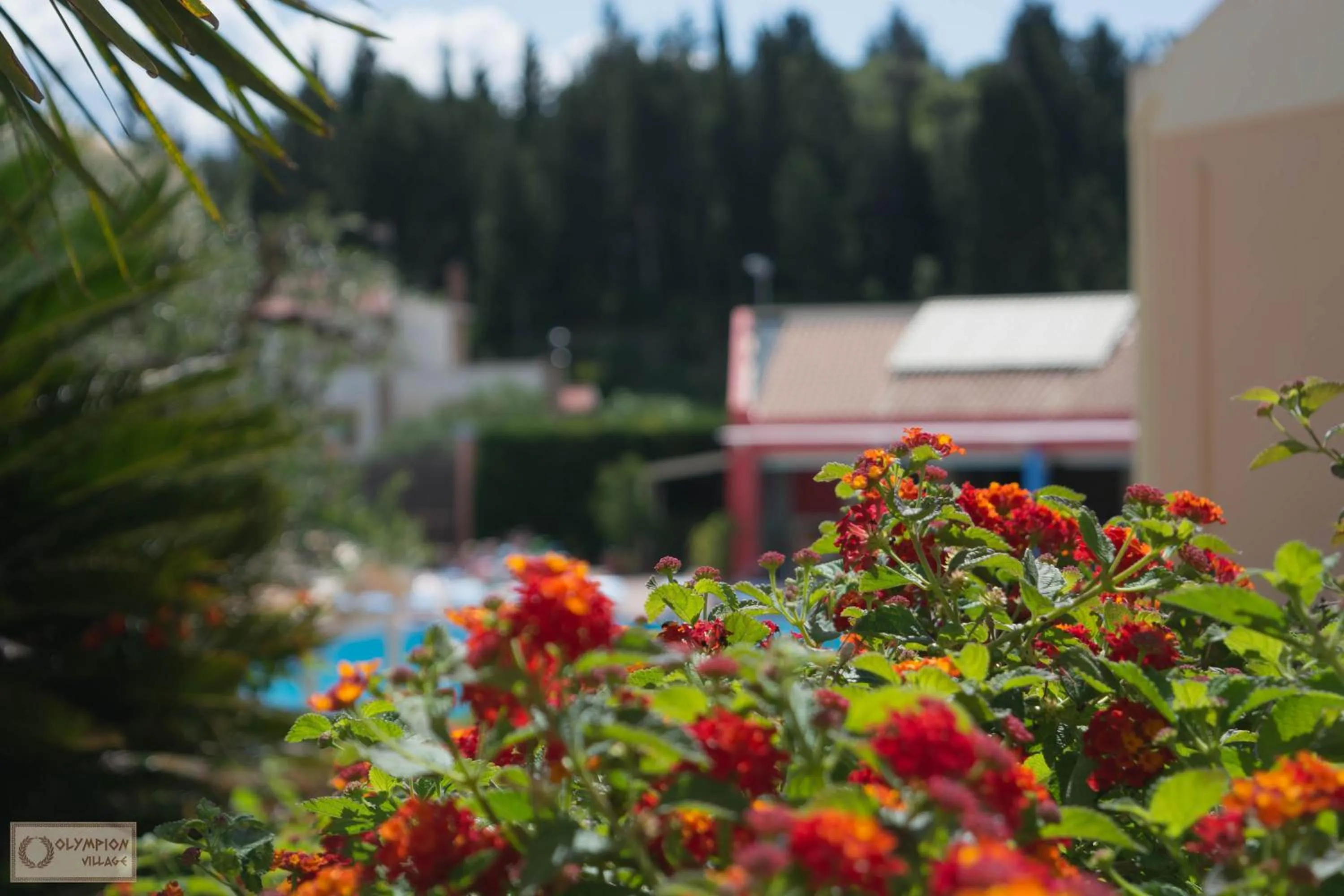 Garden in Olympion Village