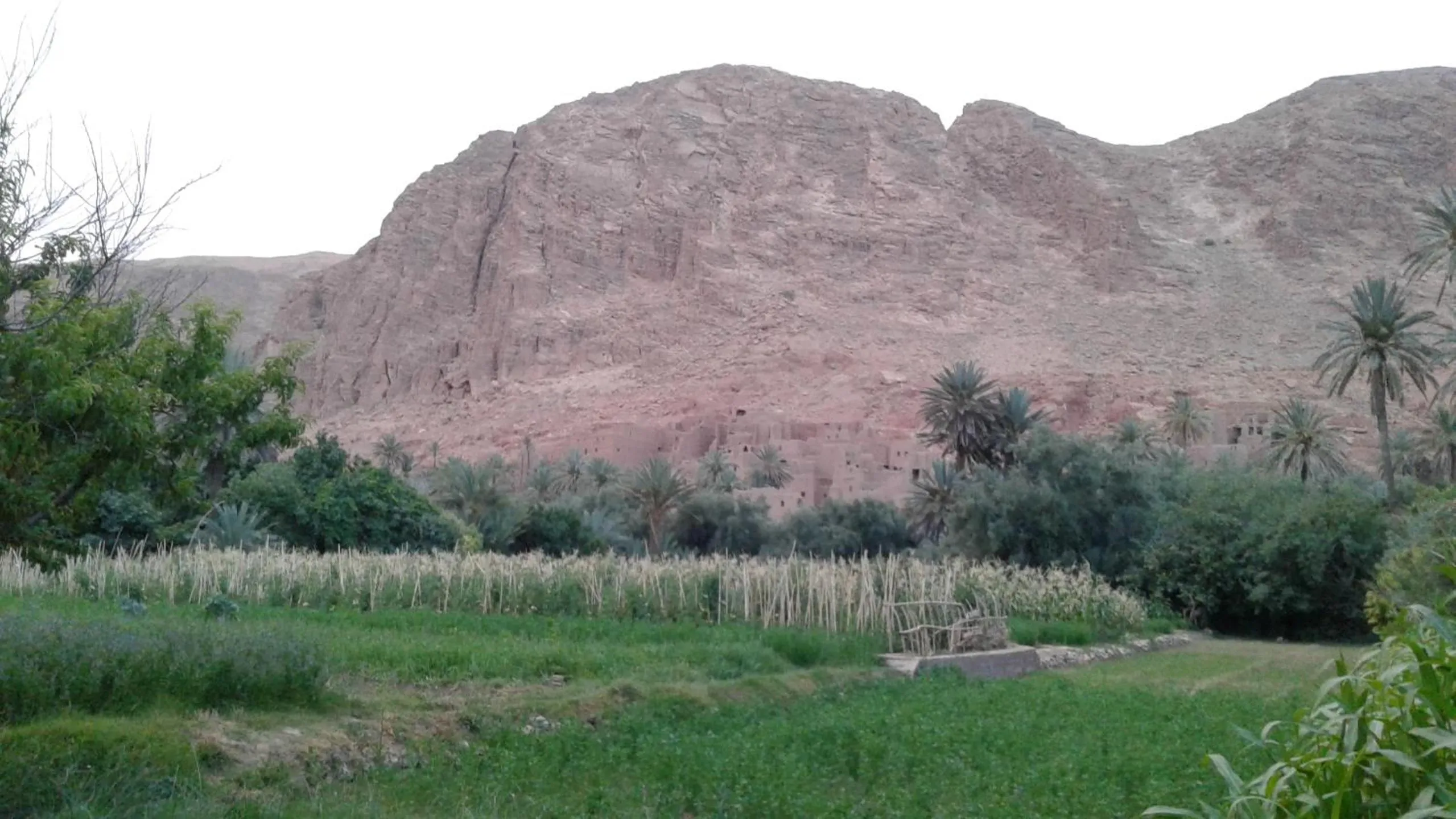 View (from property/room) in RIAD Camping ATLAS