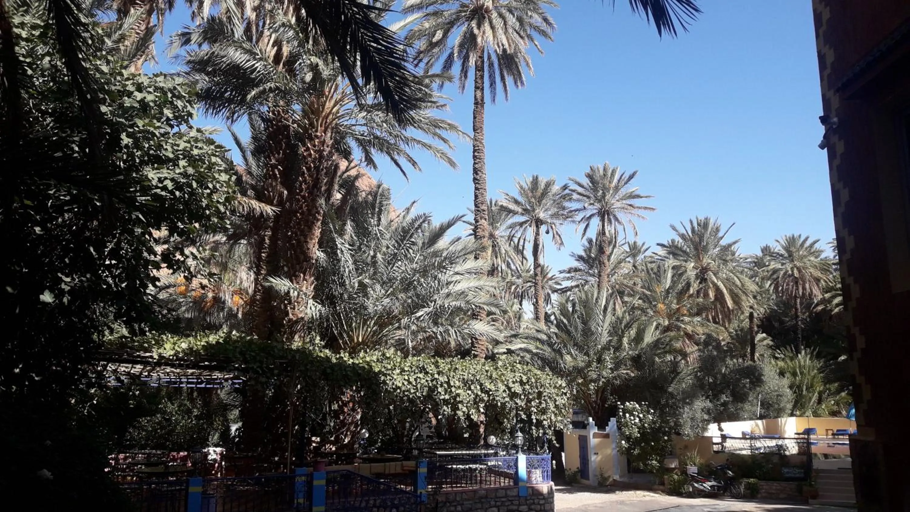 Garden in RIAD Camping ATLAS