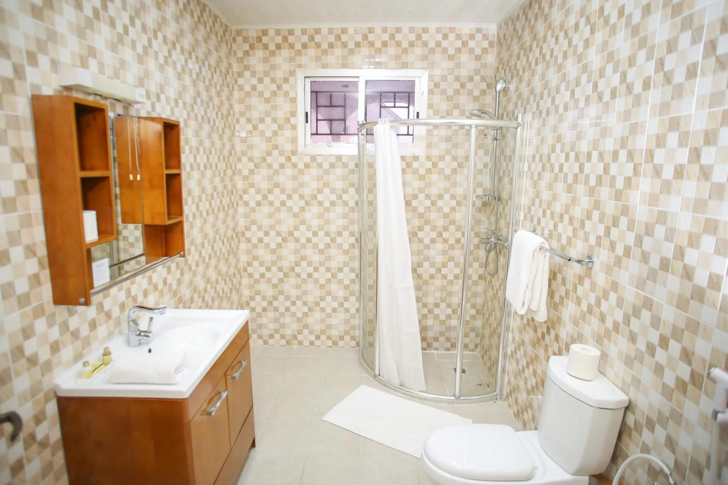 Bathroom in Hotel Barmoi