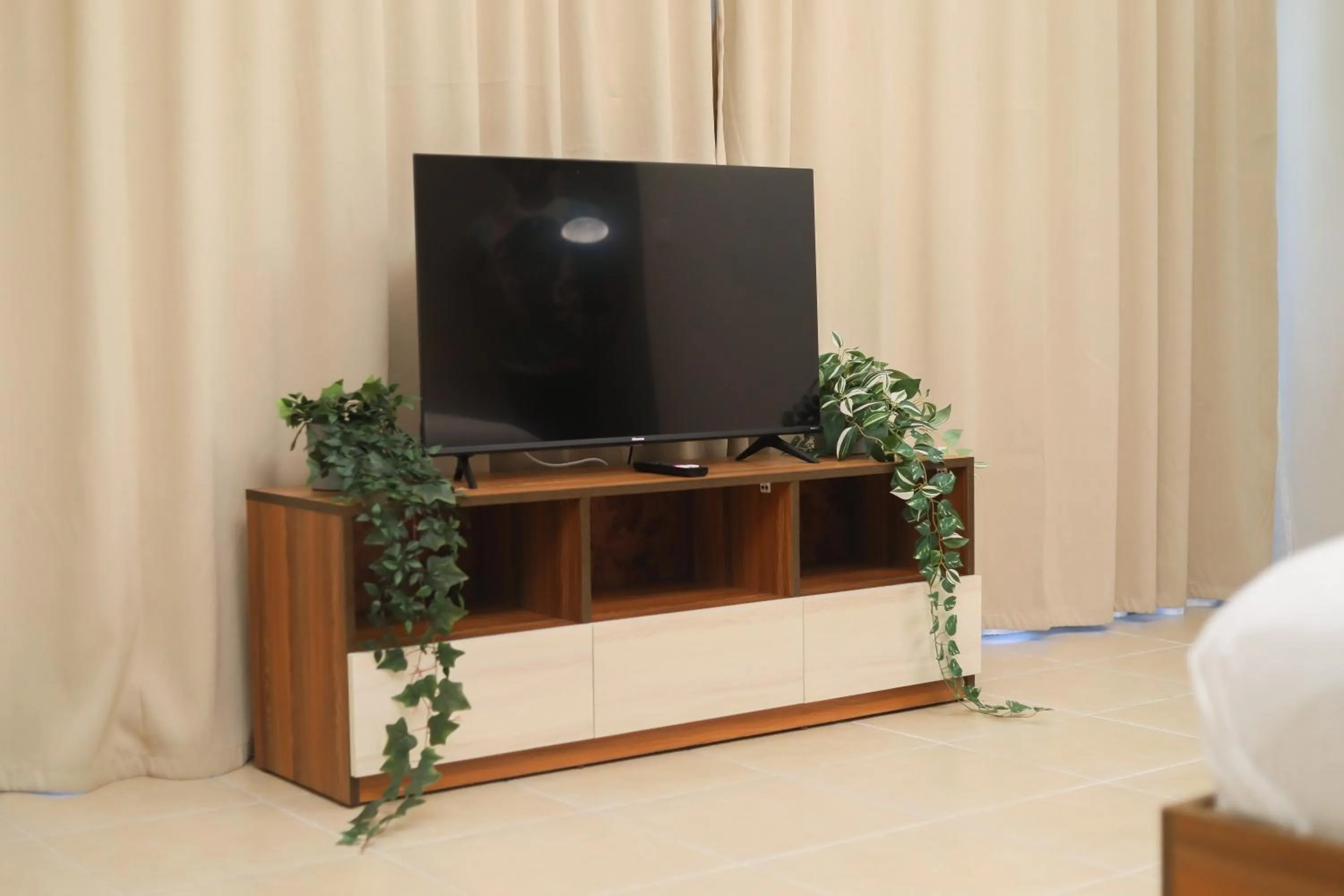 TV and multimedia in Hotel Barmoi