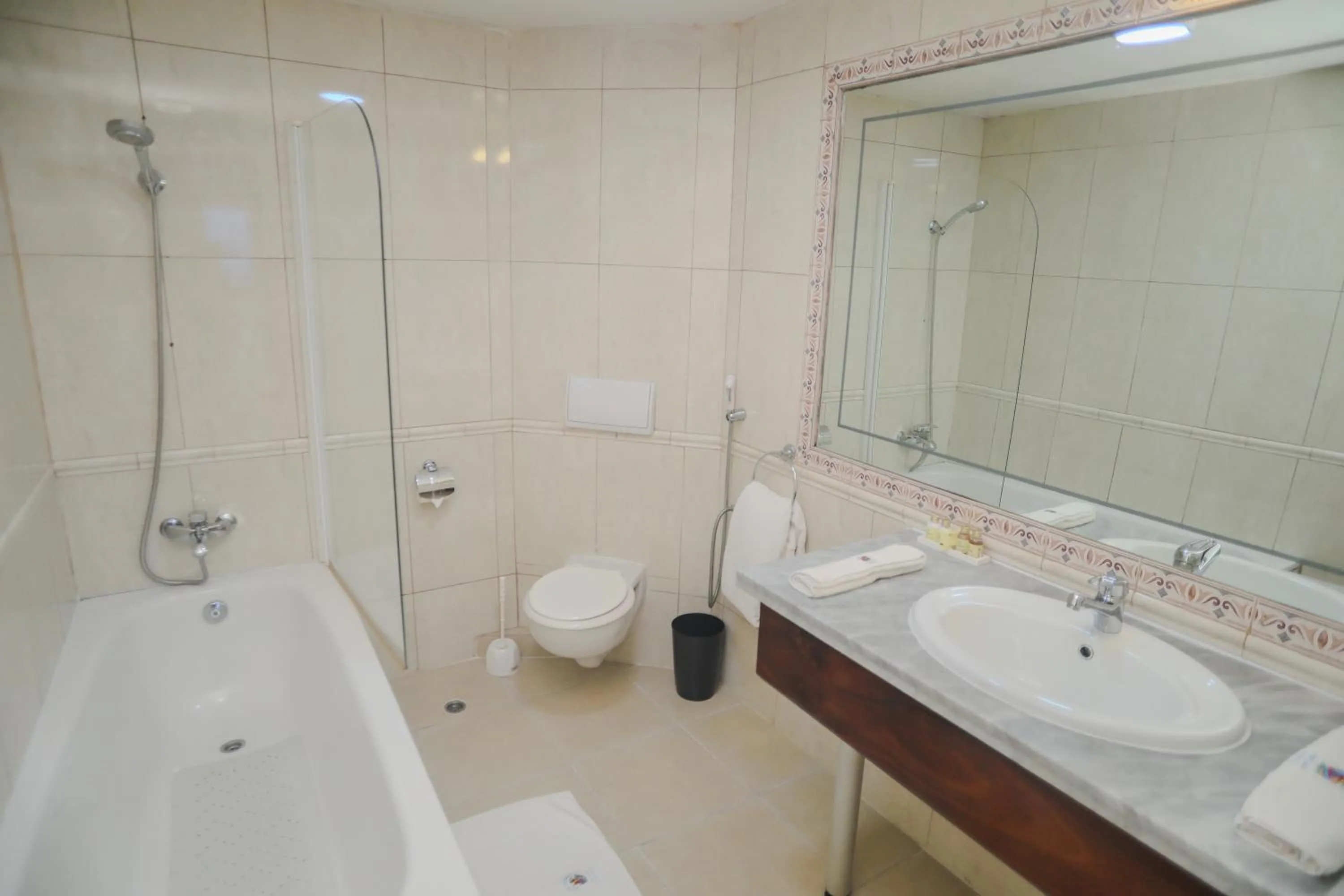 Bathroom in Hotel Barmoi