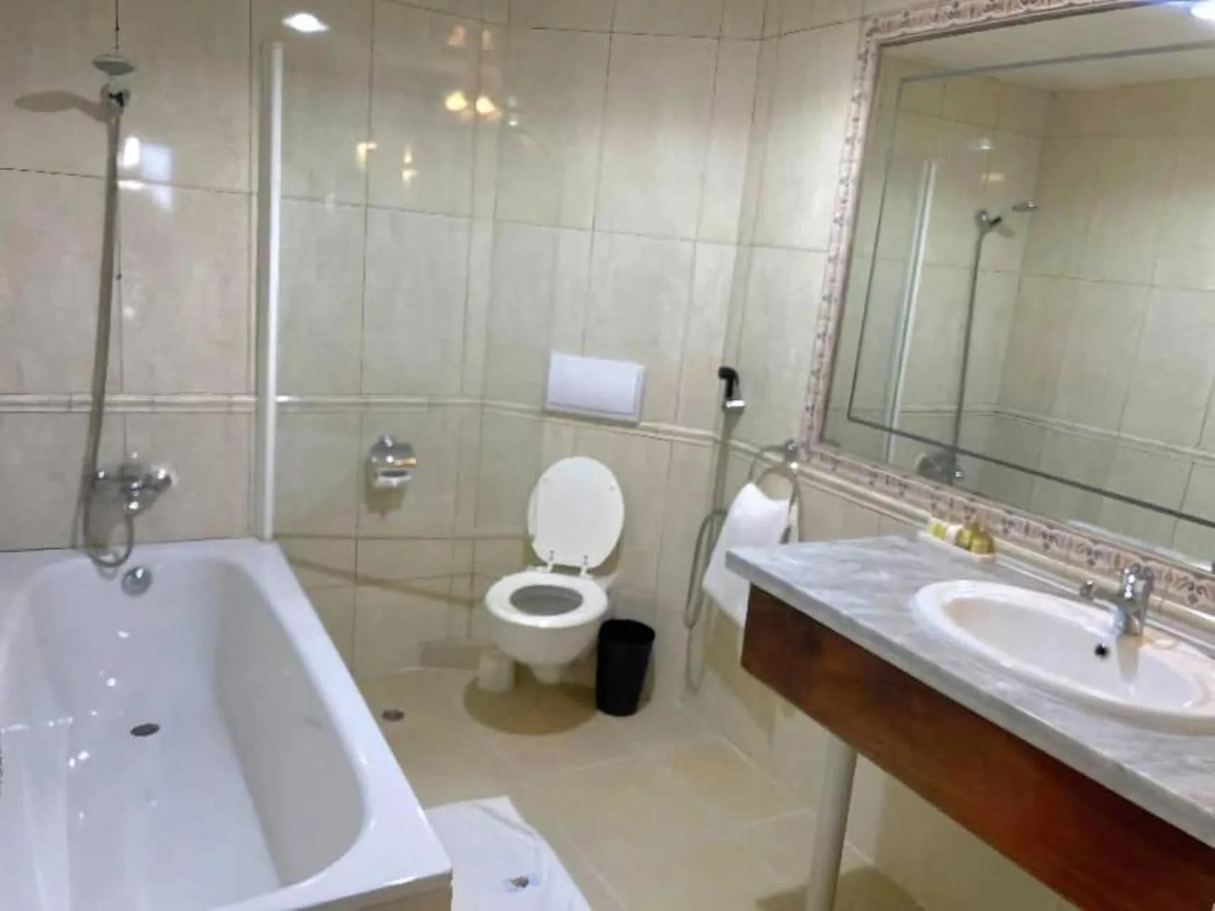 Bathroom in Hotel Barmoi