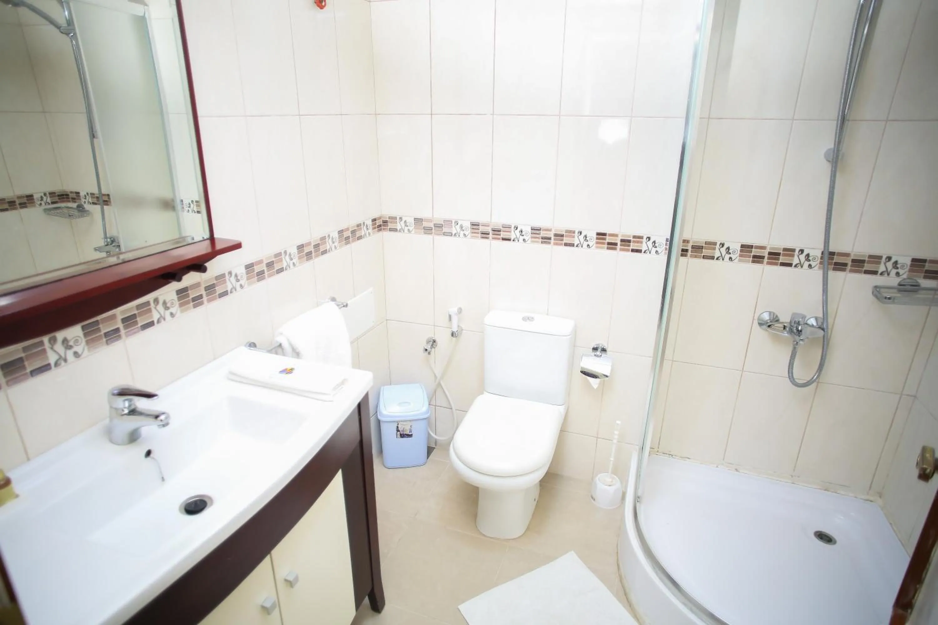 Bathroom in Hotel Barmoi