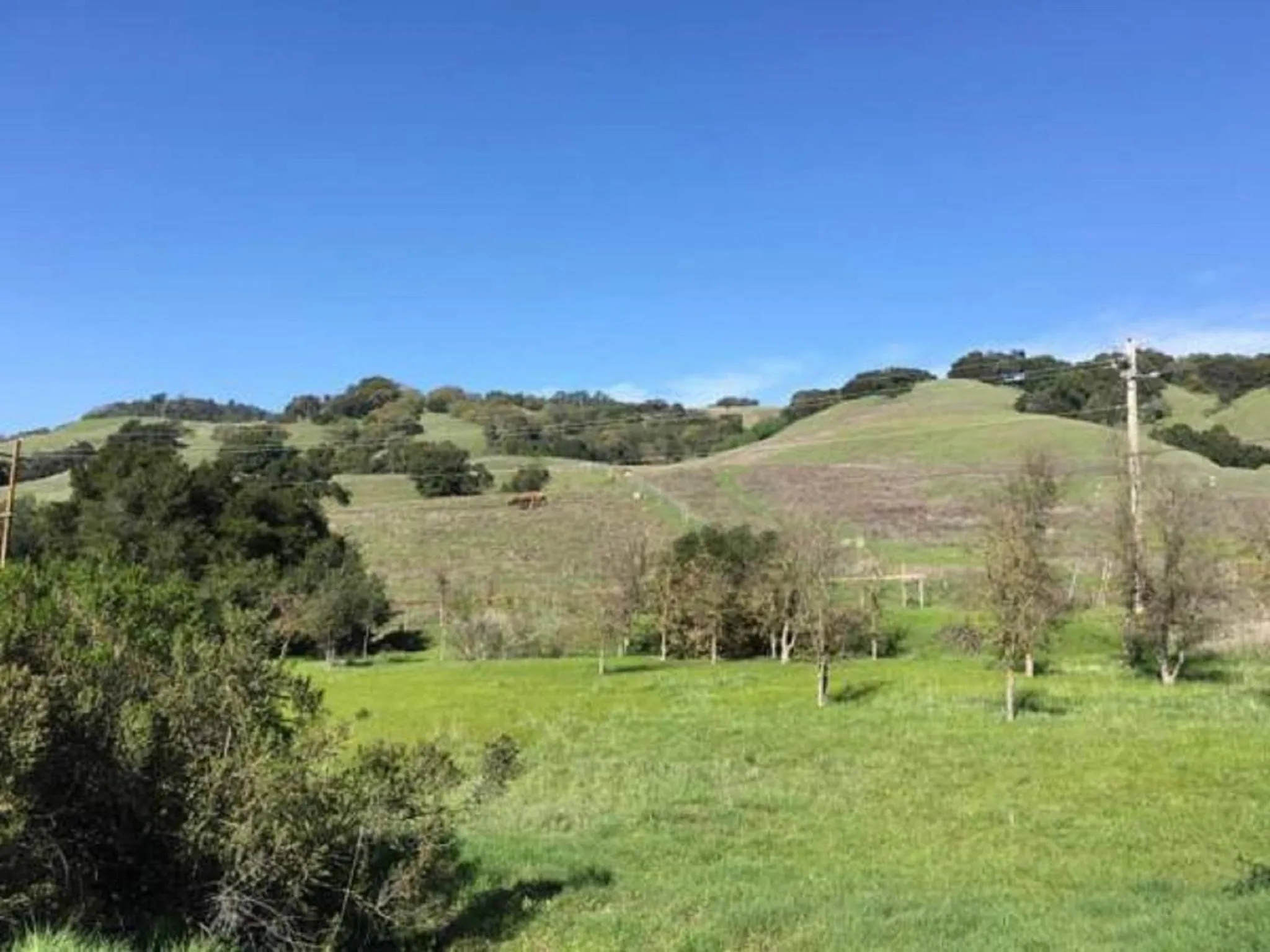 Natural landscape in Amitabha Wine Country Cottage