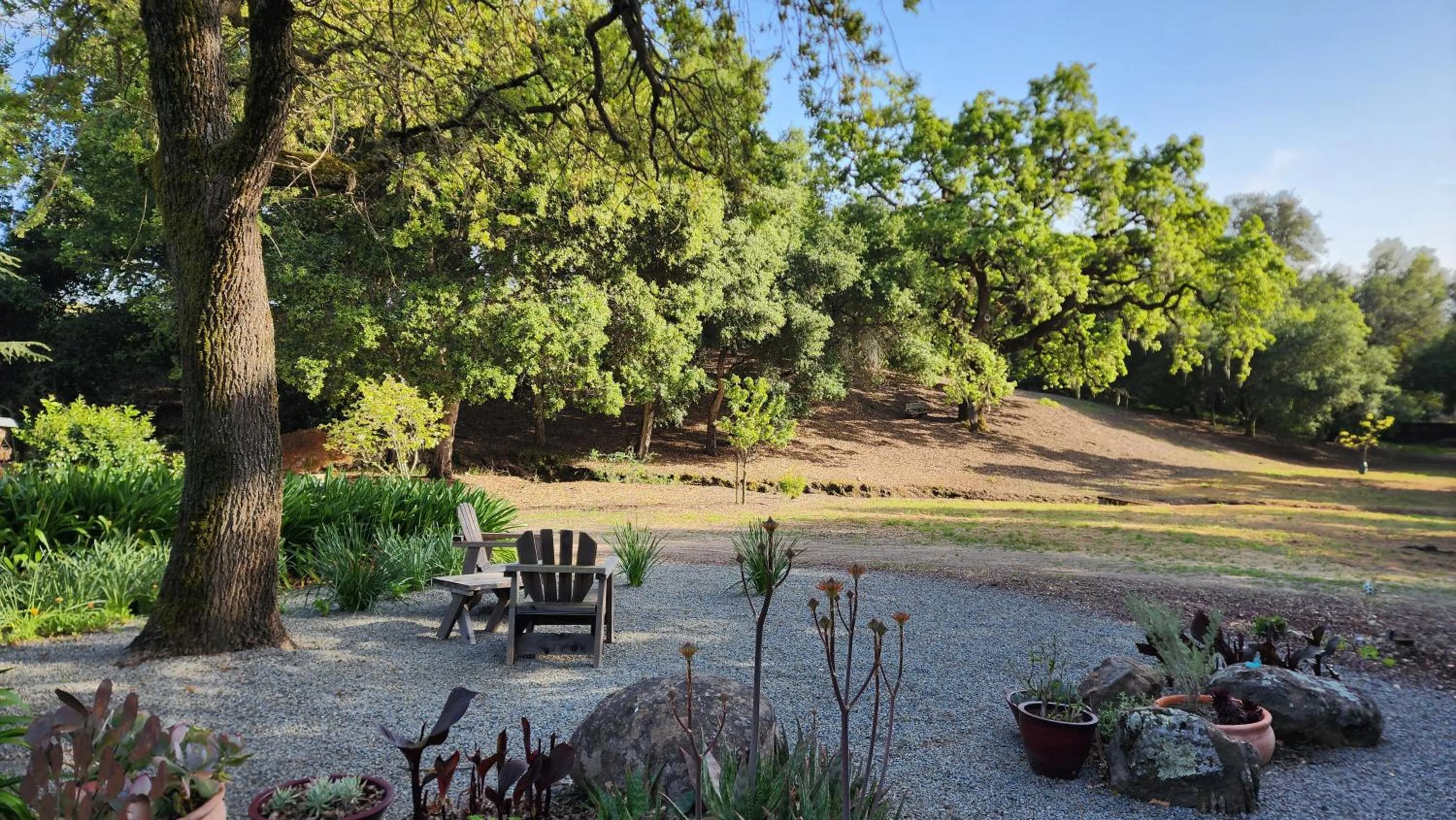 Natural landscape in Amitabha Wine Country Cottage