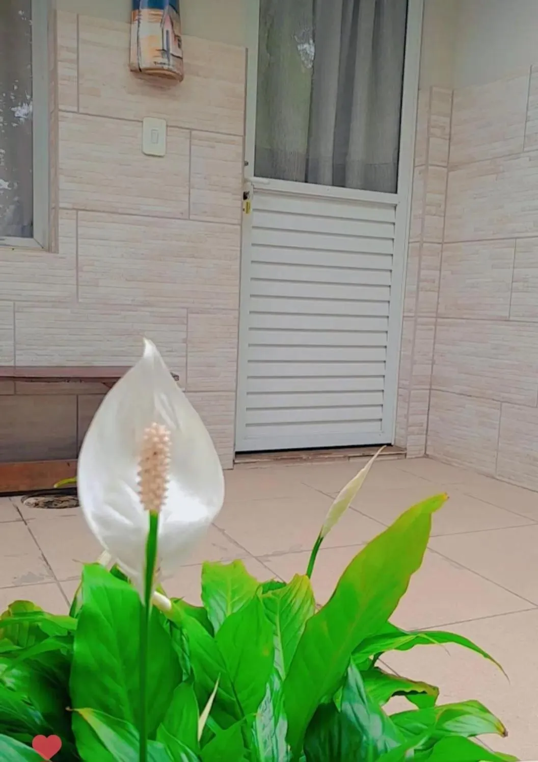 Facade/entrance in Recanto Dos Vargas - Seu refúgio em Floripa com atendimento dos anfitriões