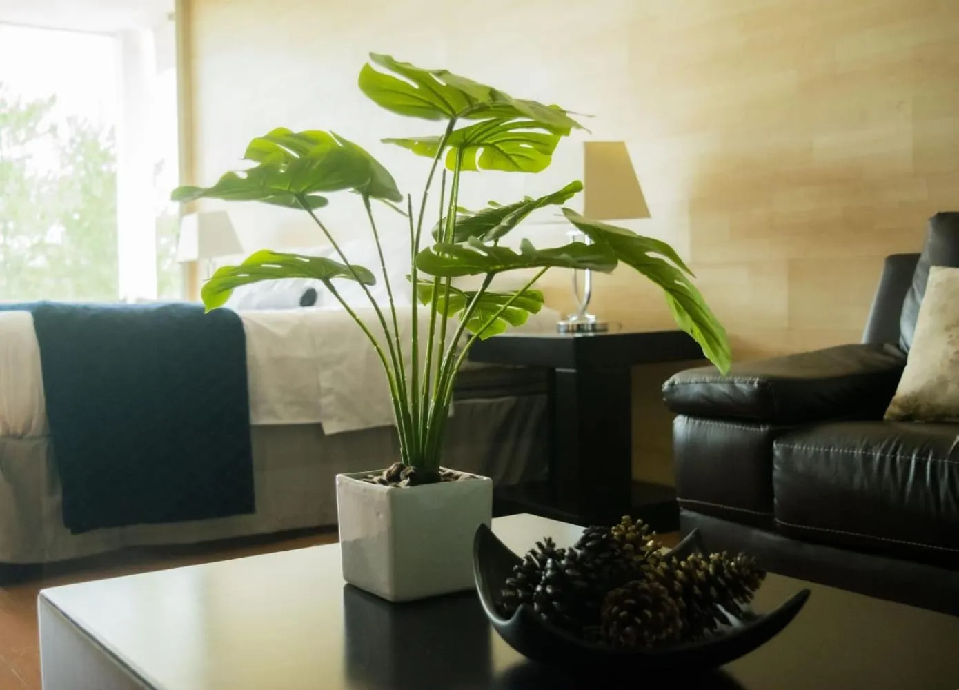 Seating area in Giakor Suites - Gran Jardín