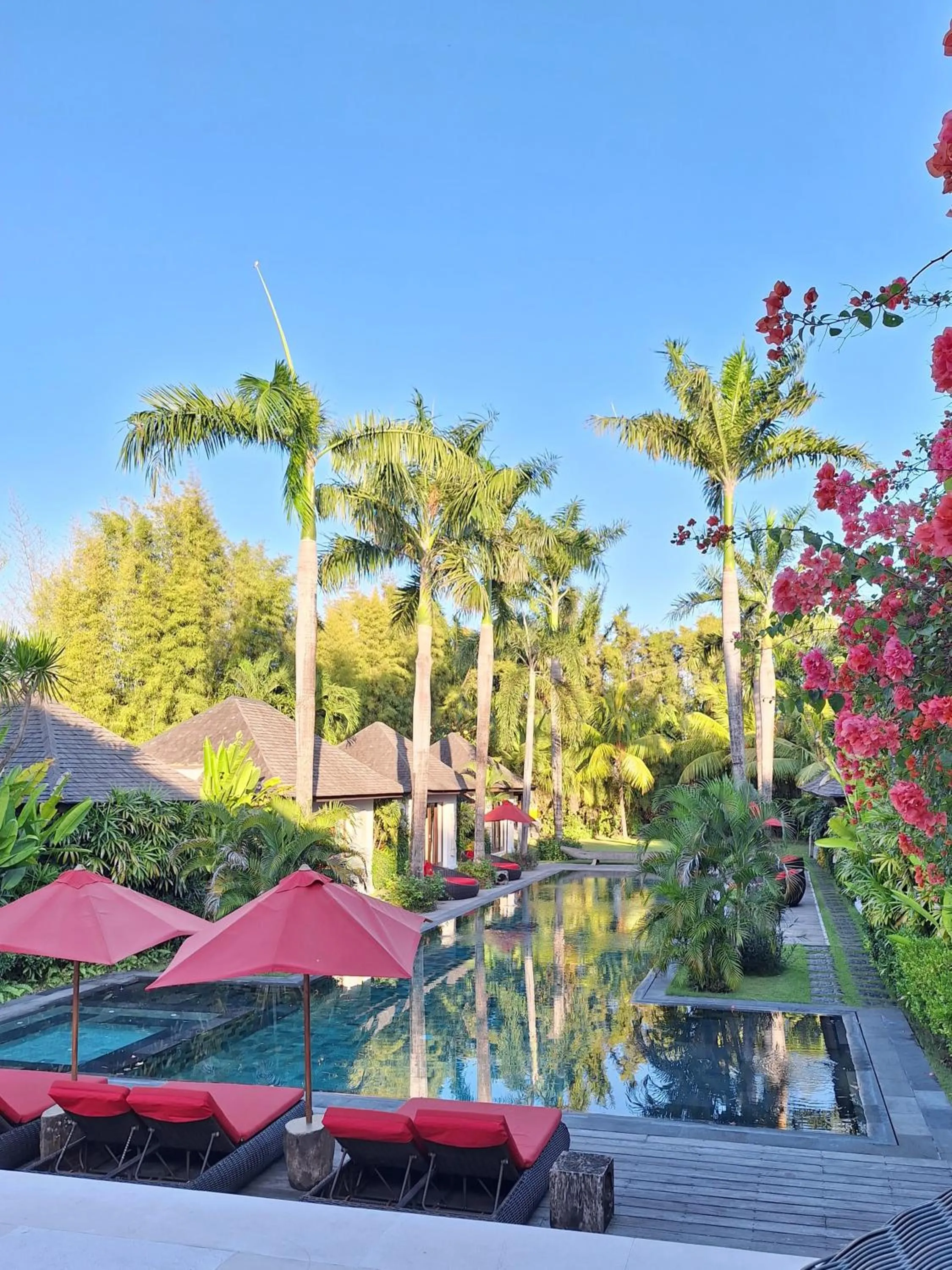 Garden view in Villa Naty Canggu - 6 Bedrooms Luxury Villa