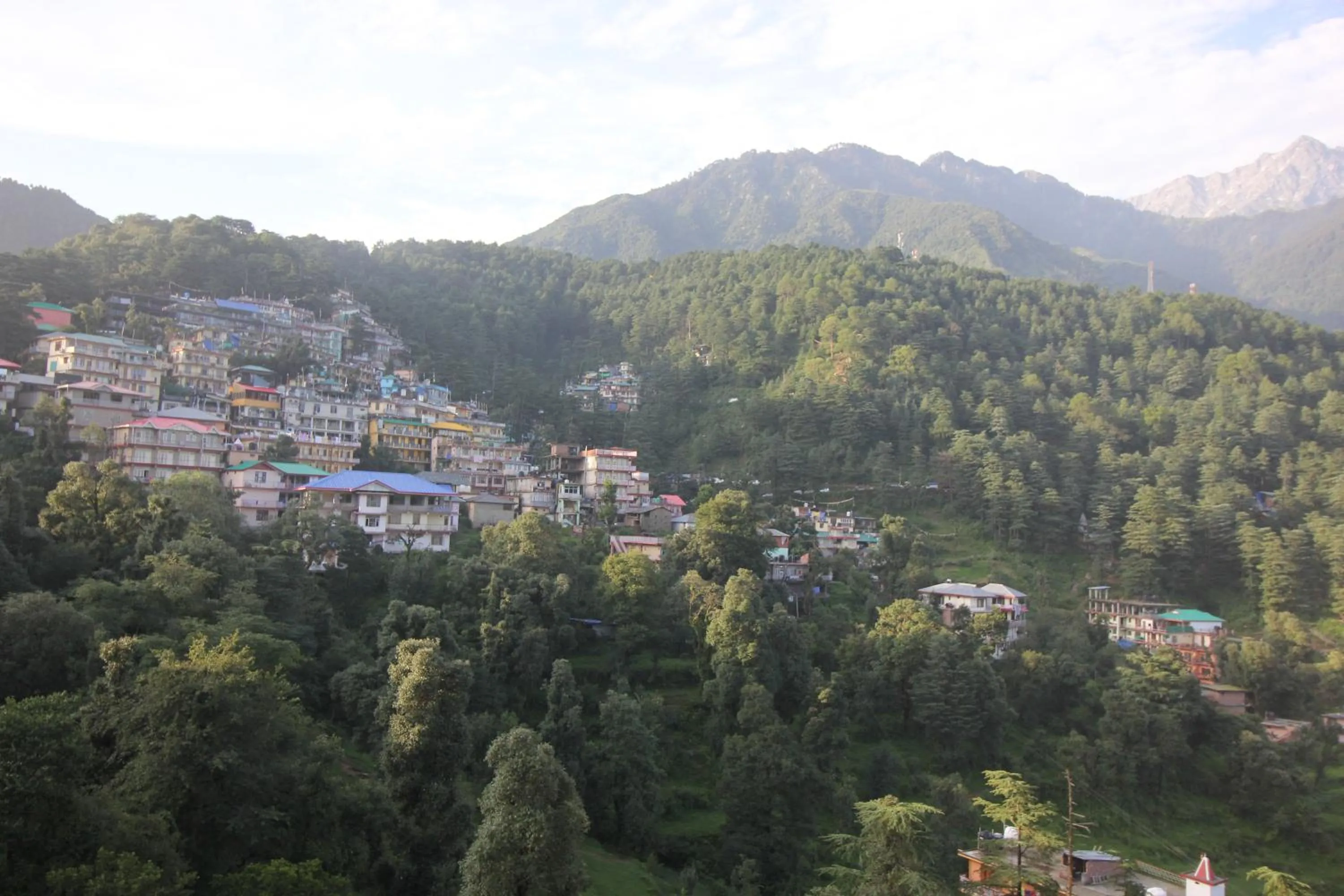 Natural landscape in The Posh Hotel