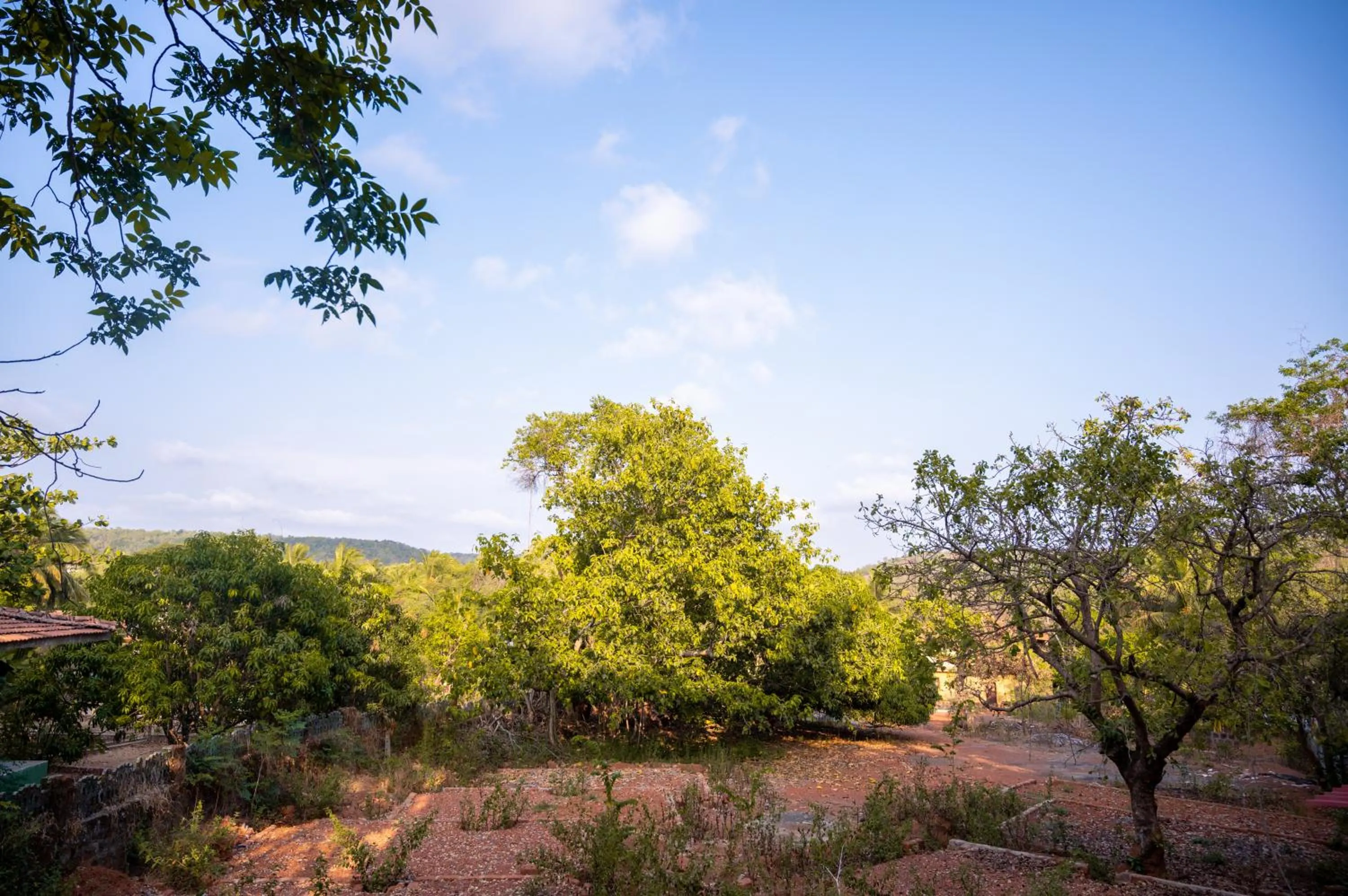 Natural landscape in La Oasis by Meraden ,Goa