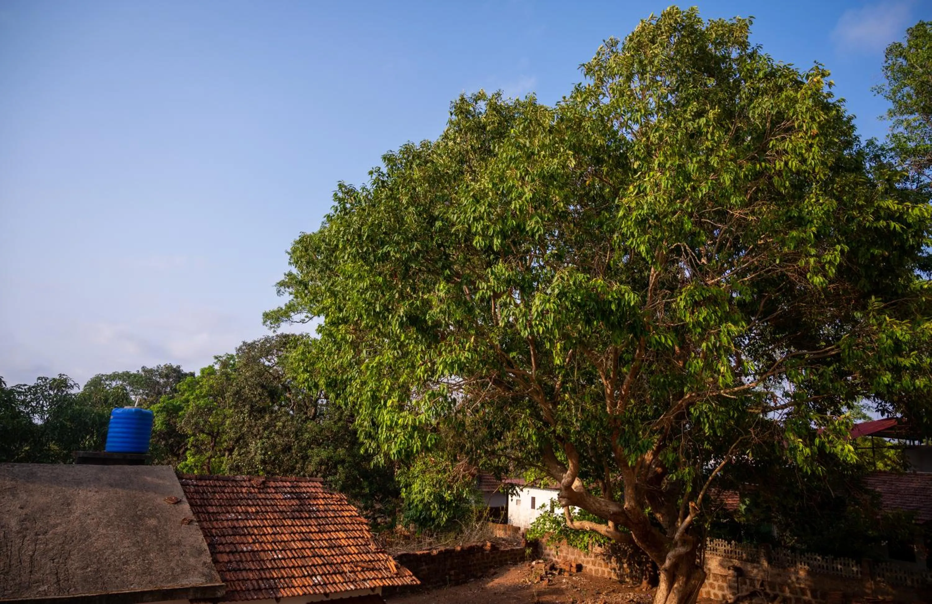 Natural landscape in La Oasis by Meraden ,Goa