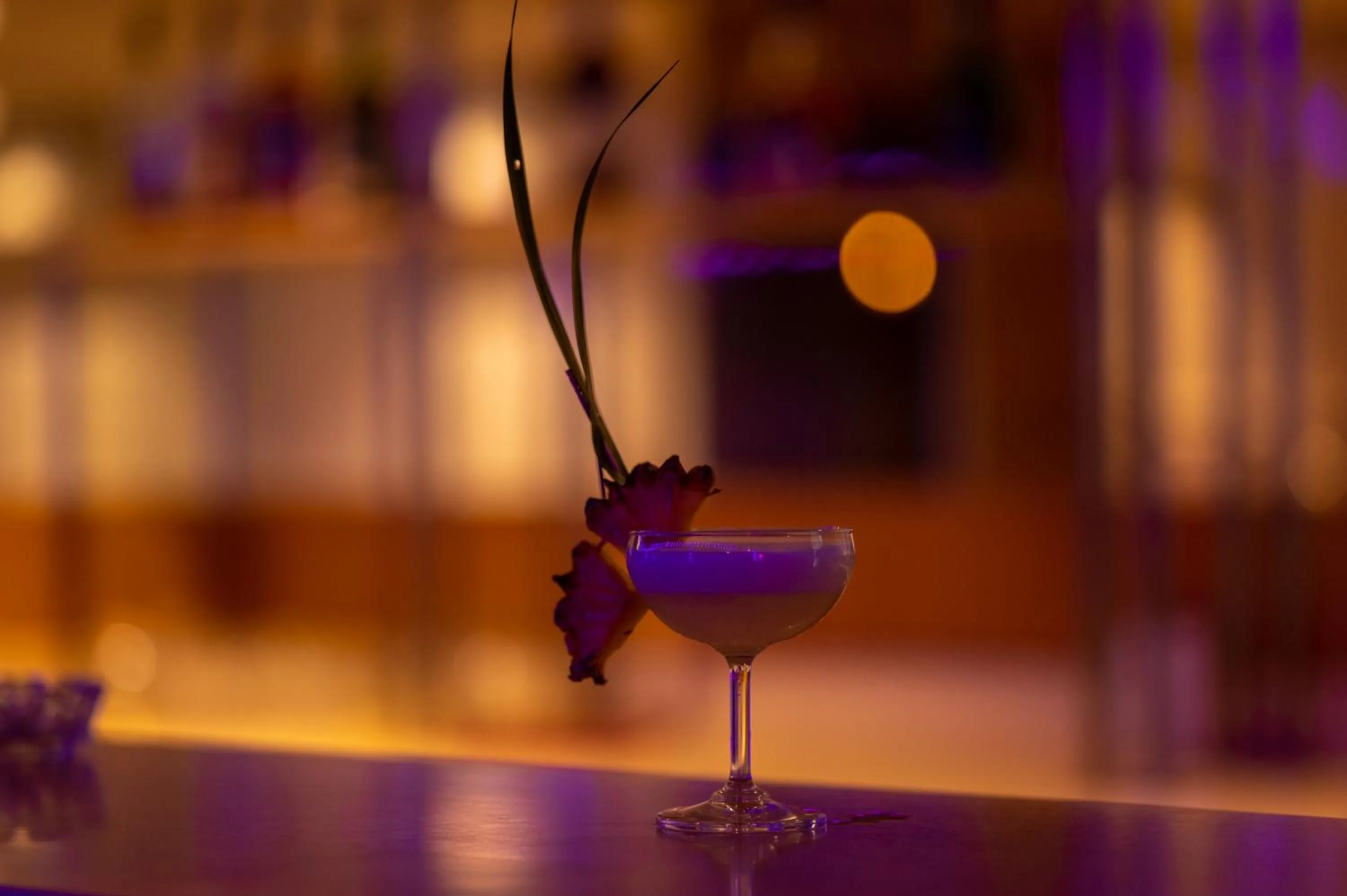 Lounge or bar in La Oasis by Meraden ,Goa