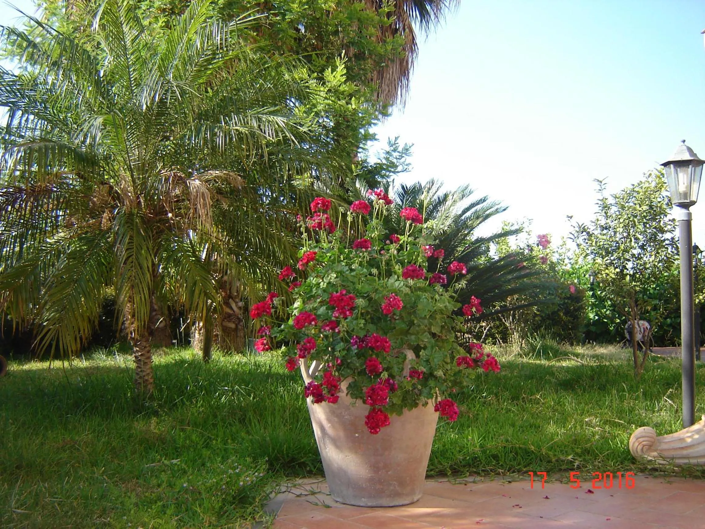 Decorative detail in B&B Villa San Leonardo