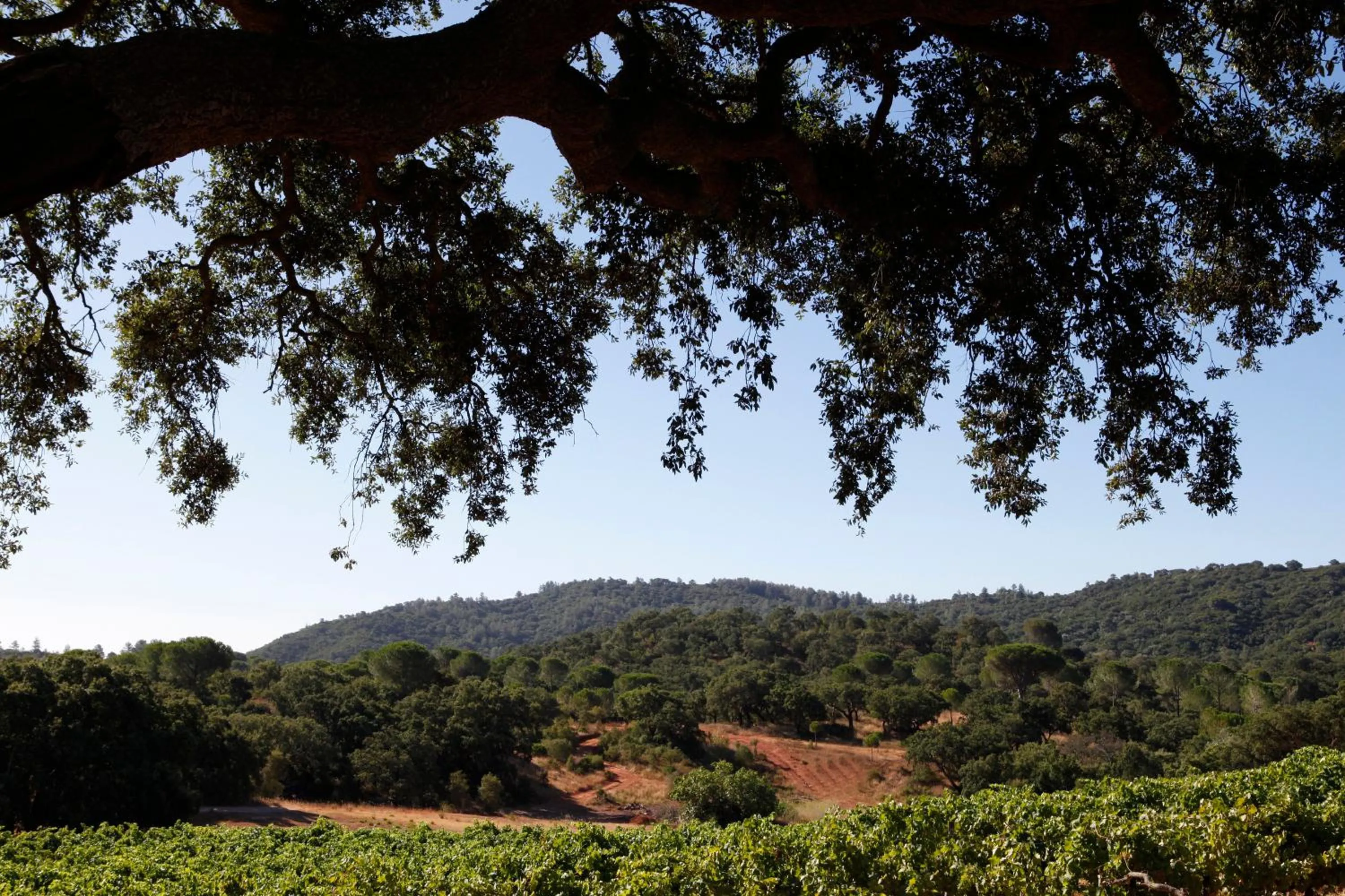 View (from property/room) in Hotel Casa Palmela - Small Luxury Hotels of The World, Hotel & Villas