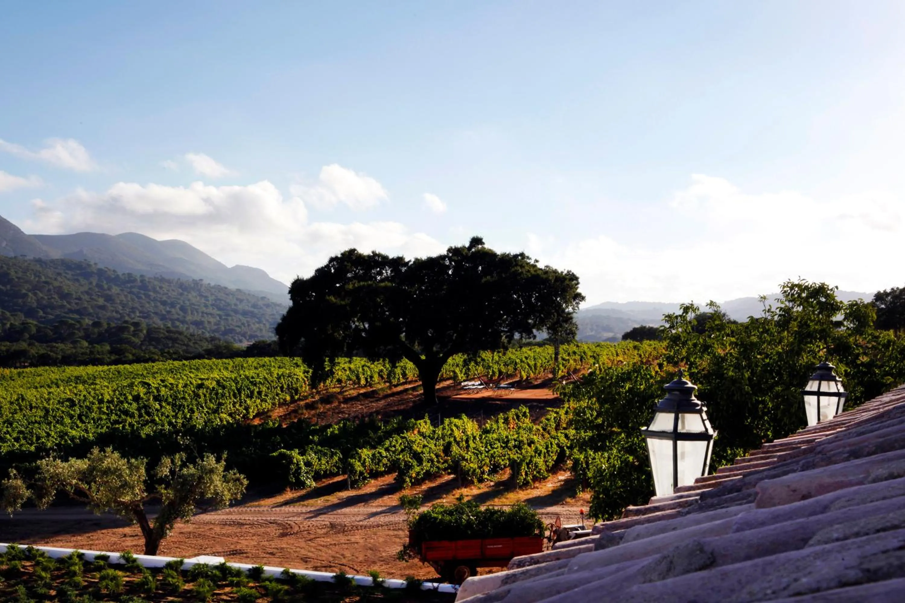 Other in Hotel Casa Palmela - Small Luxury Hotels of The World, Hotel & Villas